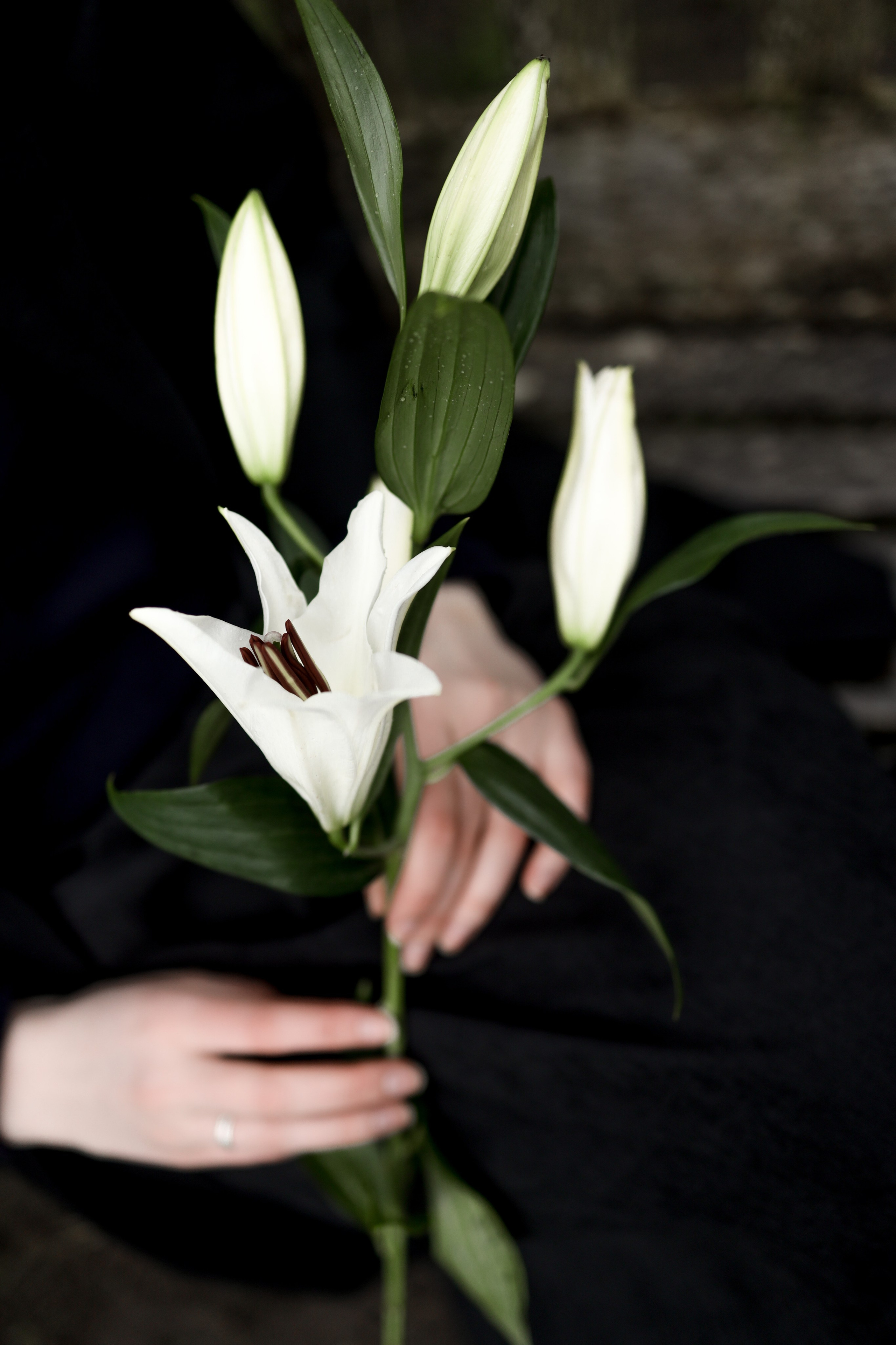 Анна. Фотограф