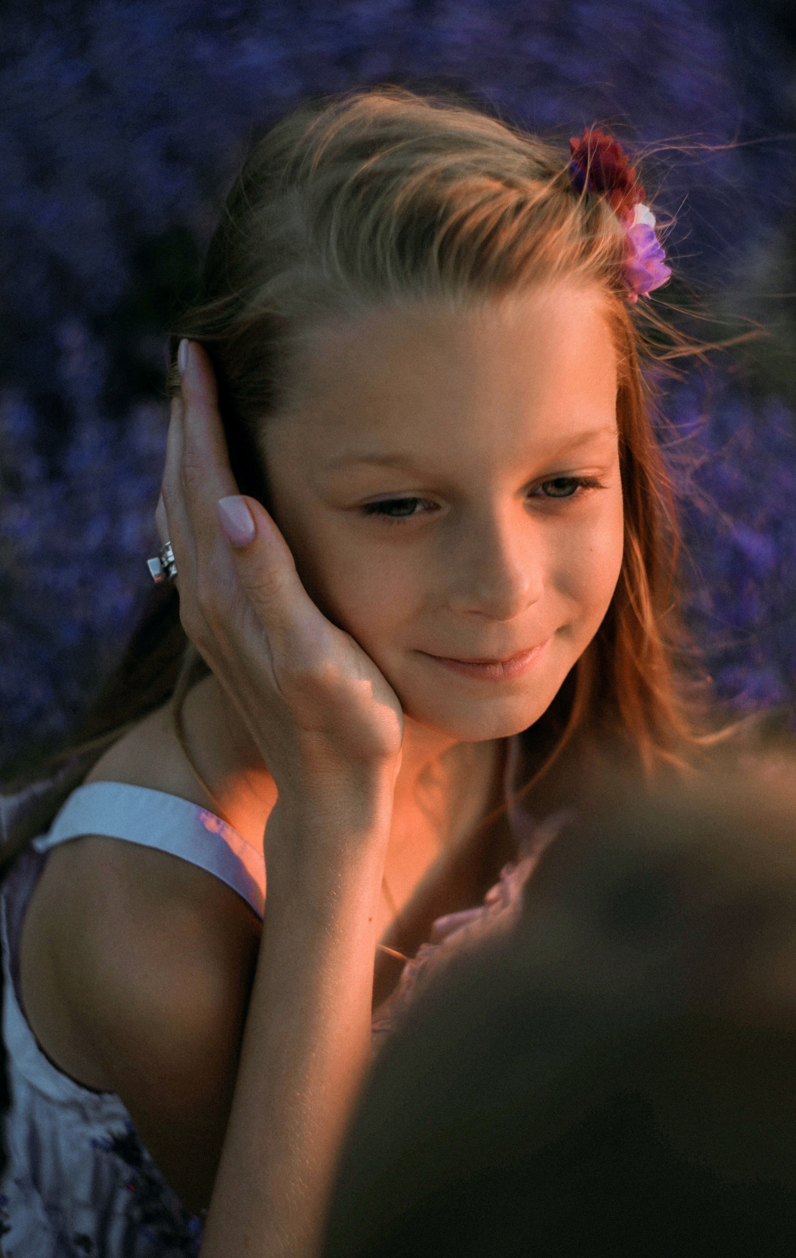 Лаванда. Фотограф