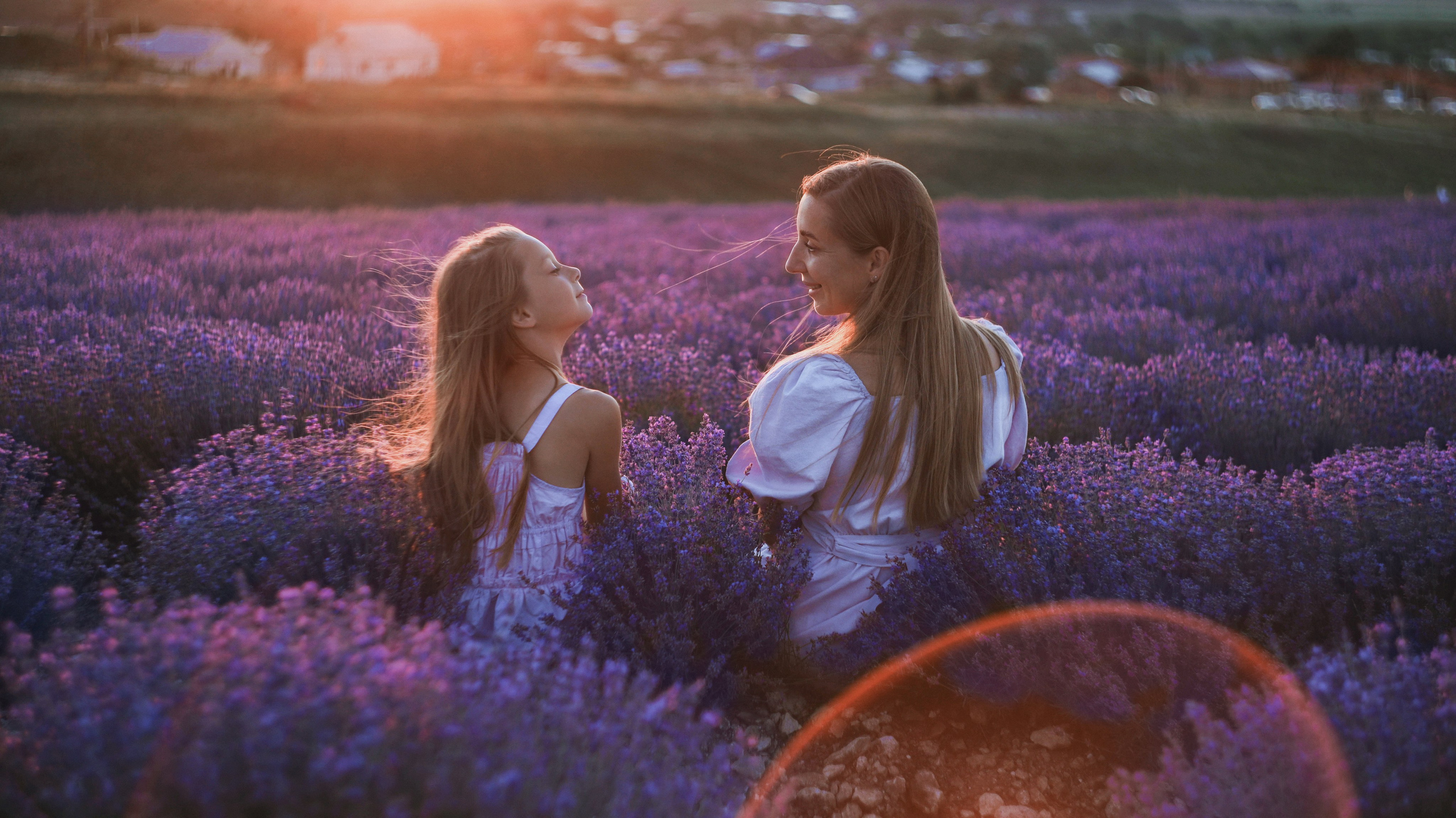 Лаванда. Фотограф