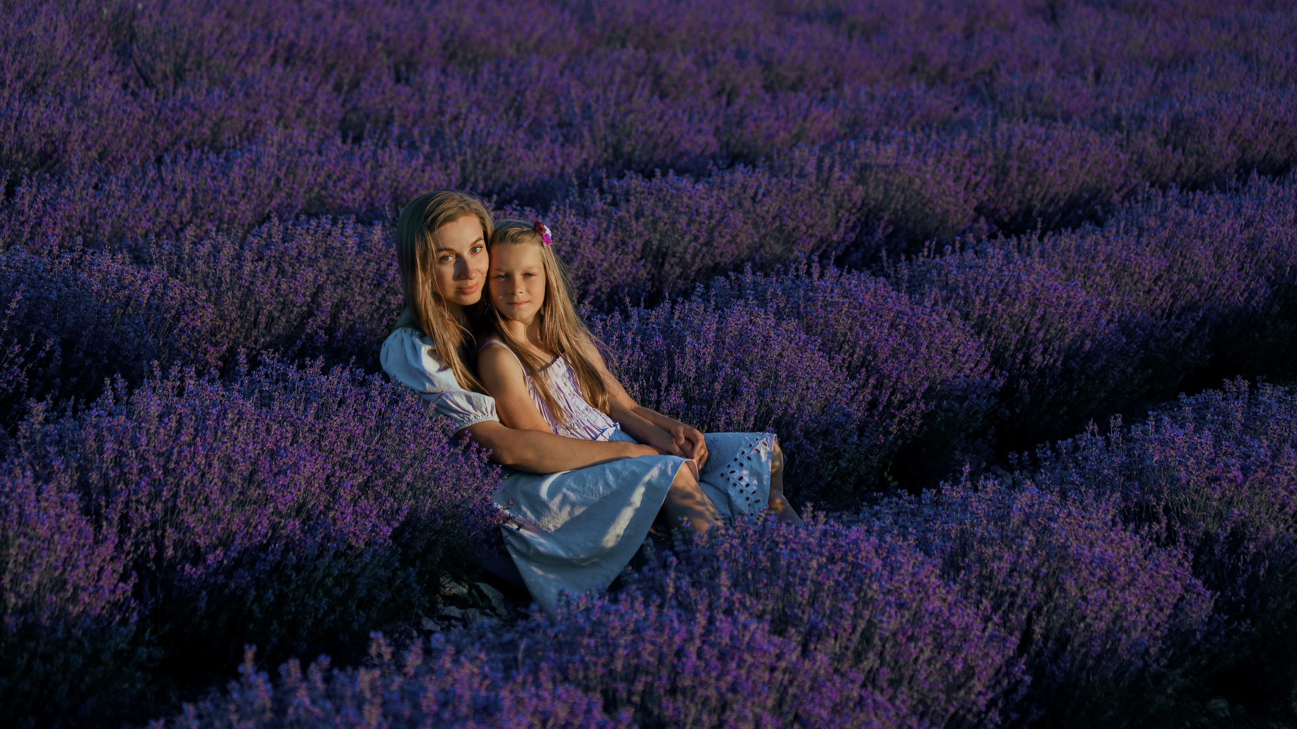 Лаванда. Фотограф