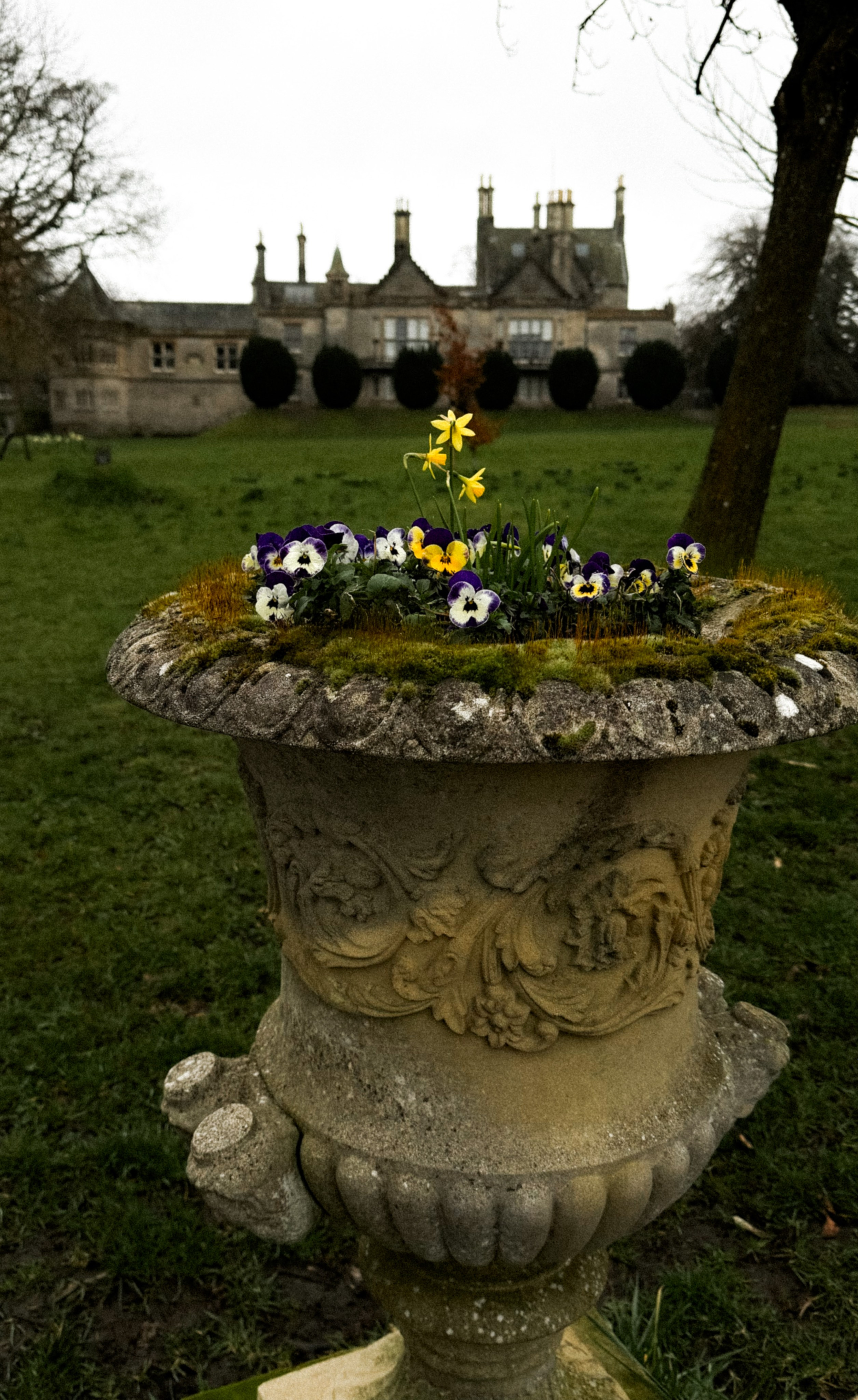 Анна. Фотограф