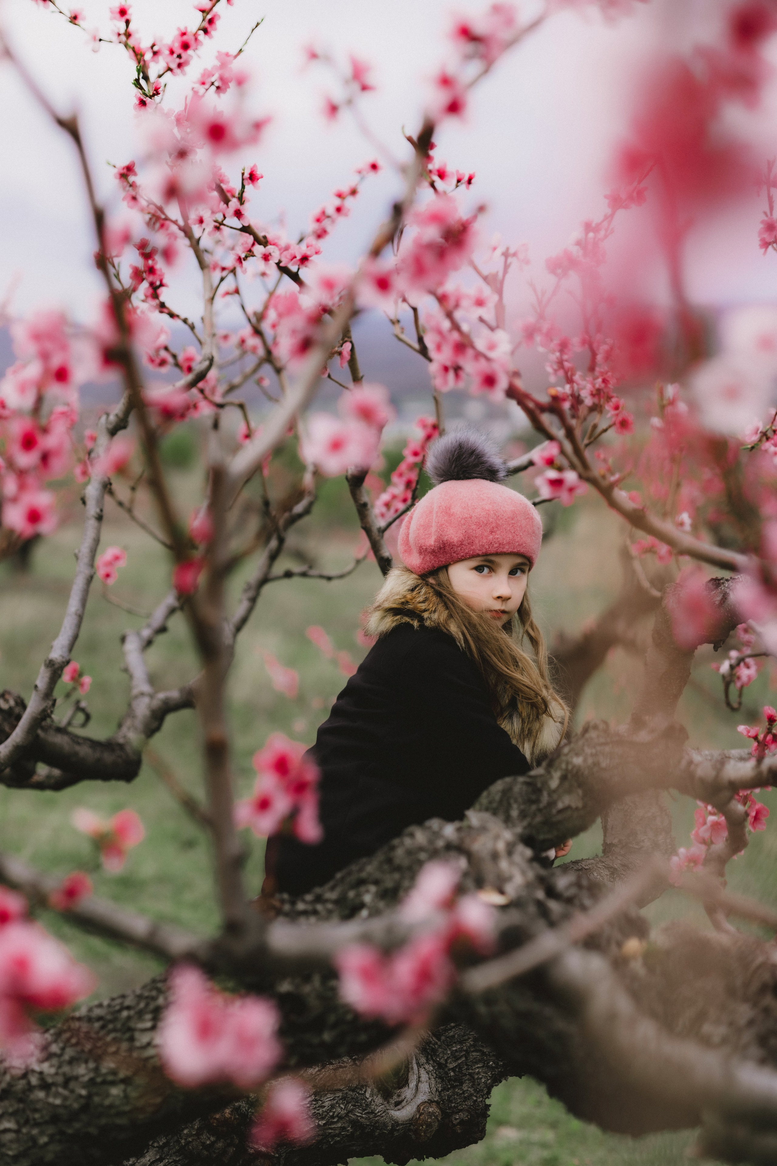Персики. Фотограф