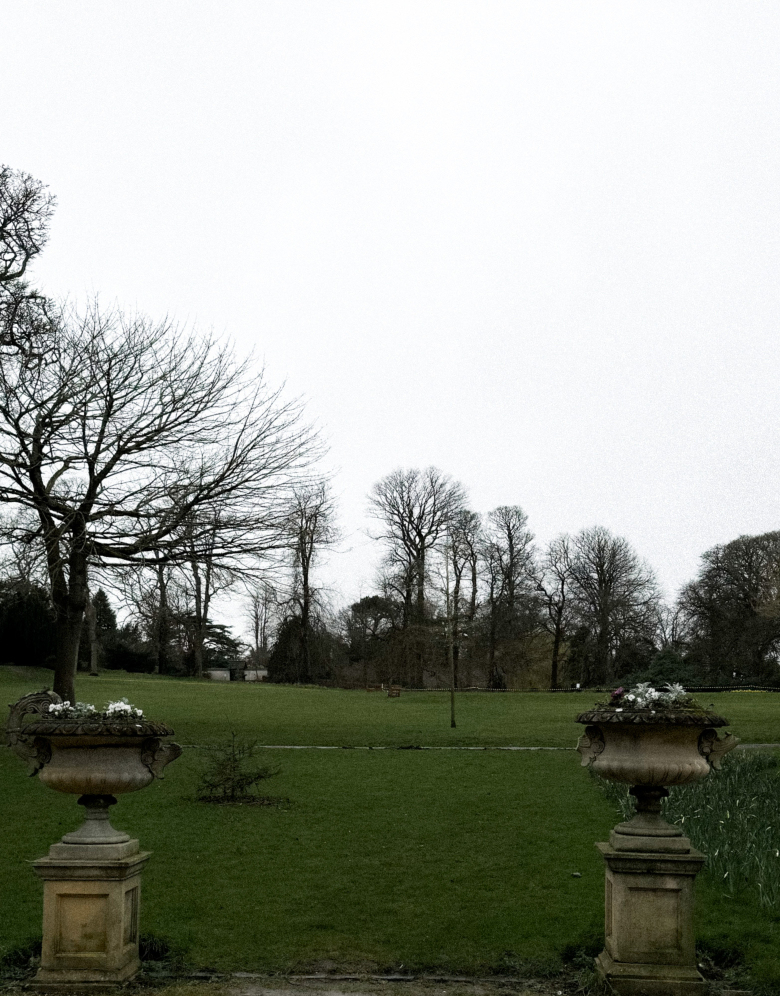 Анна. Фотограф