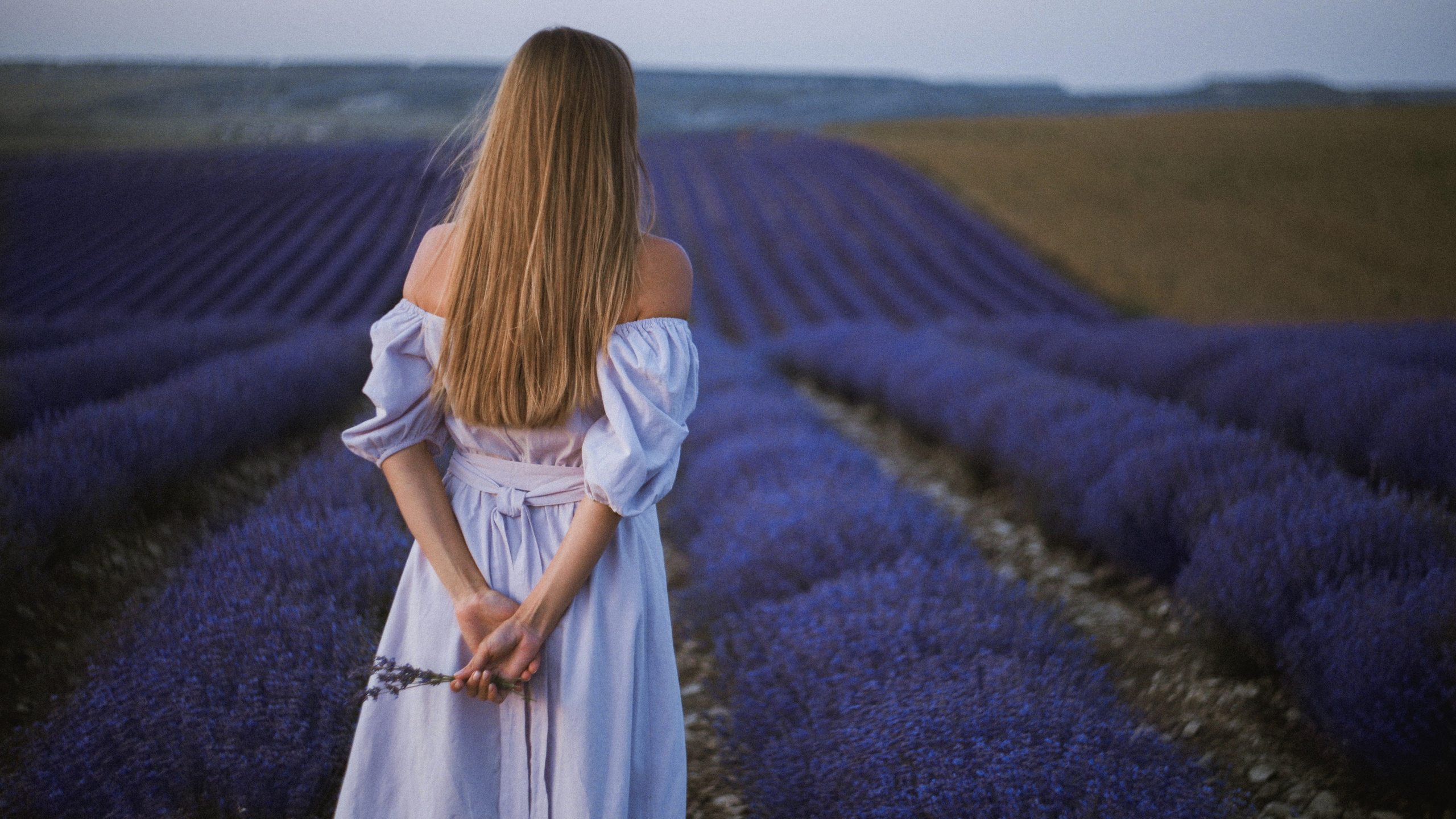 Лаванда. Фотограф