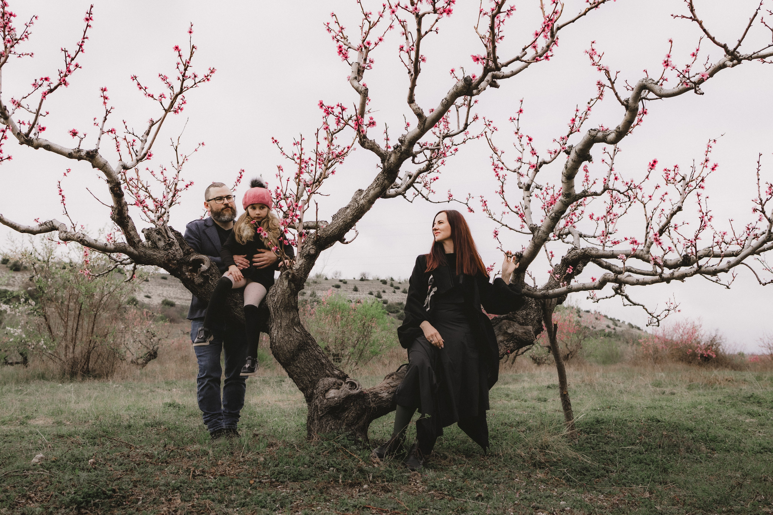 Персики. Фотограф