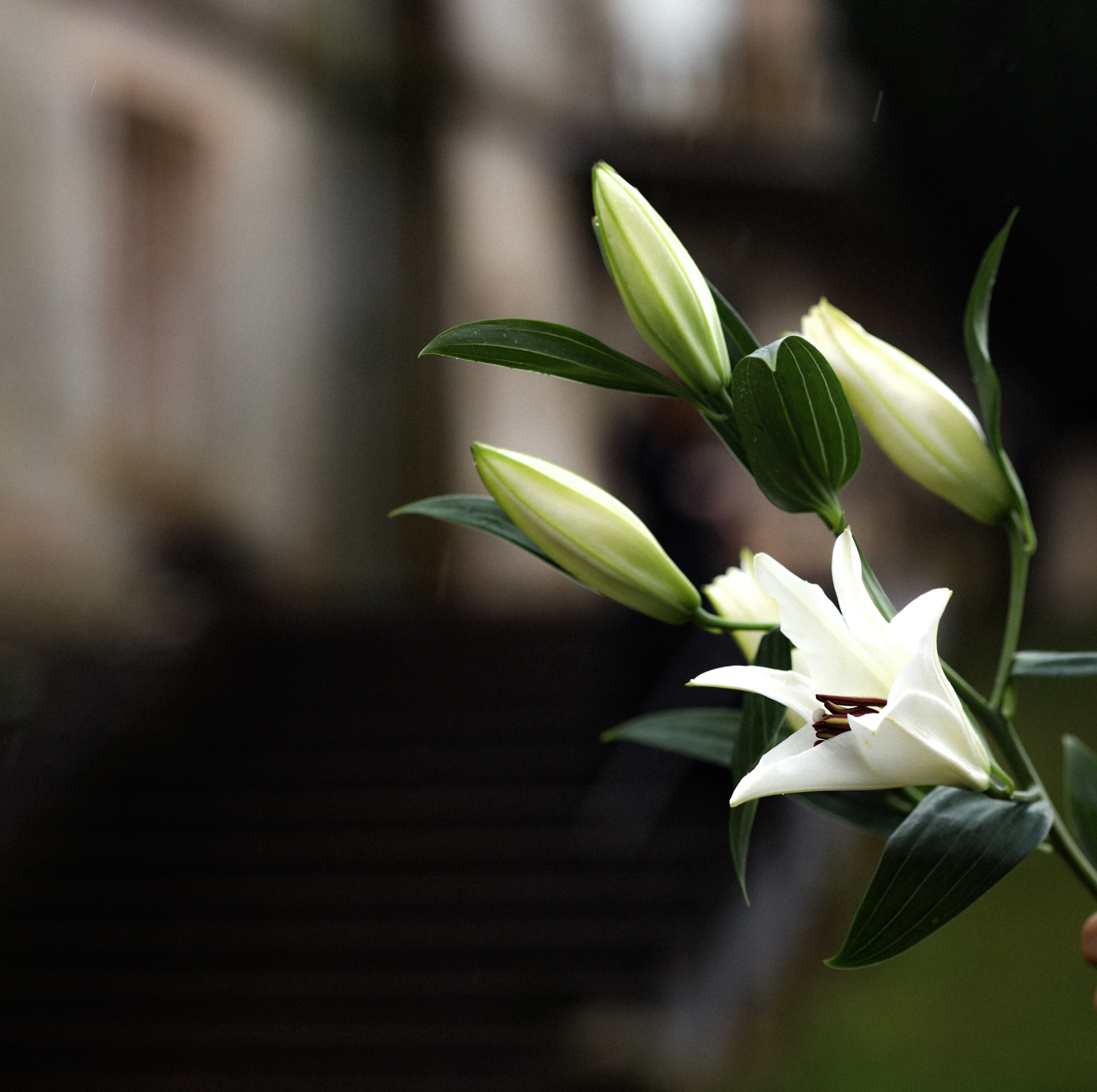 Анна. Фотограф