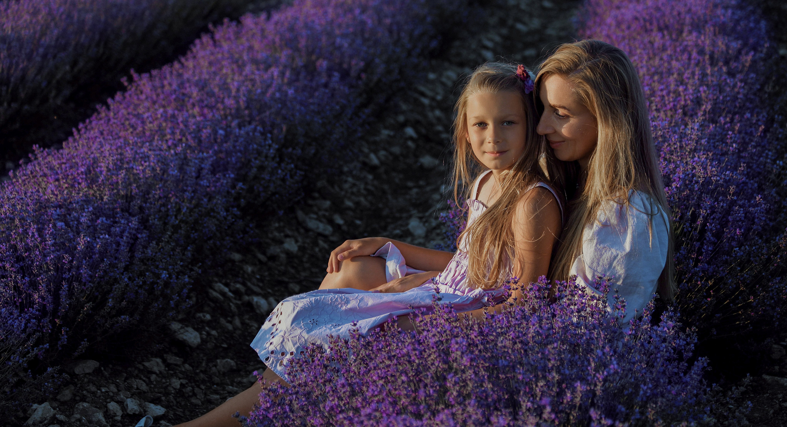 Лаванда. Фотограф