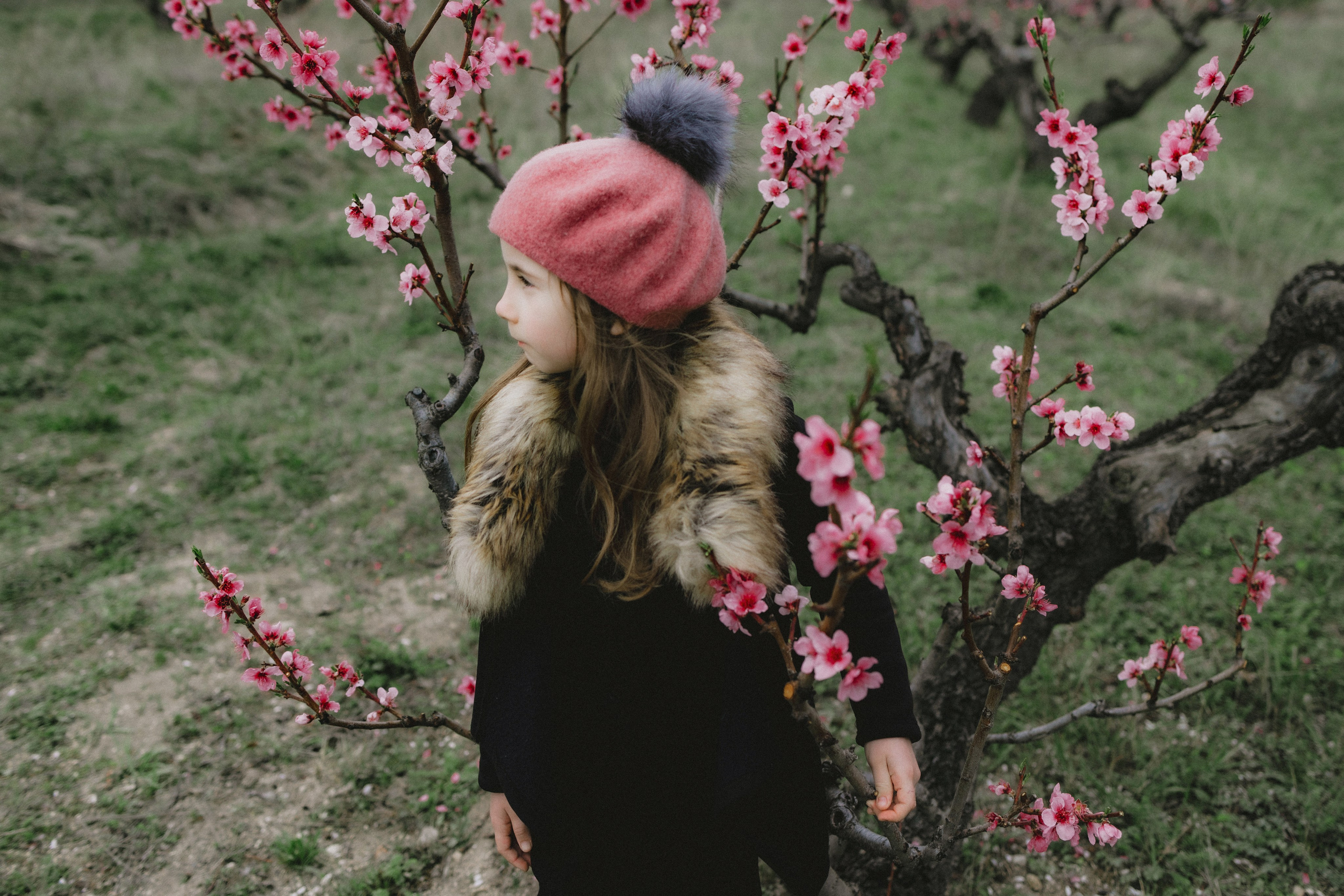 Персики. Фотограф