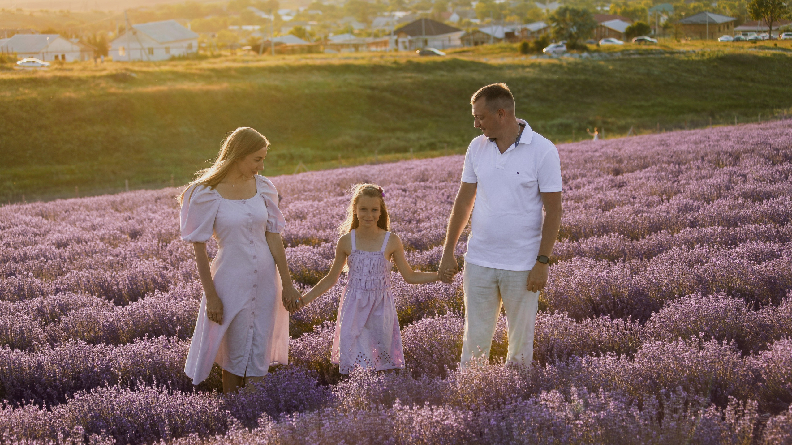 Лаванда. Фотограф