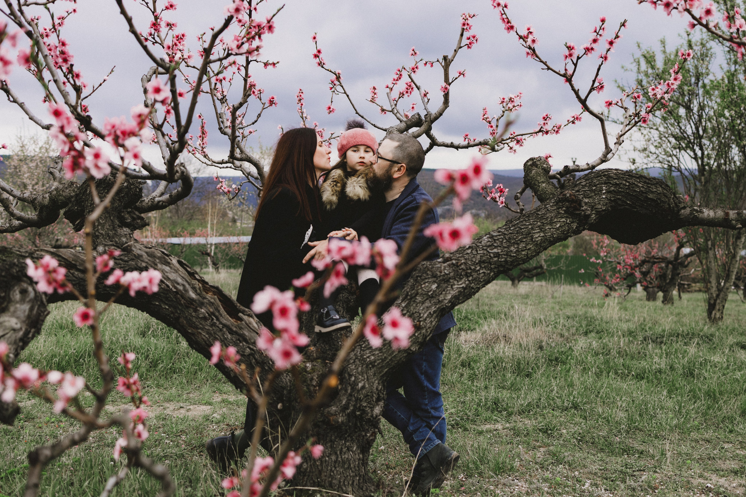 Персики. Фотограф
