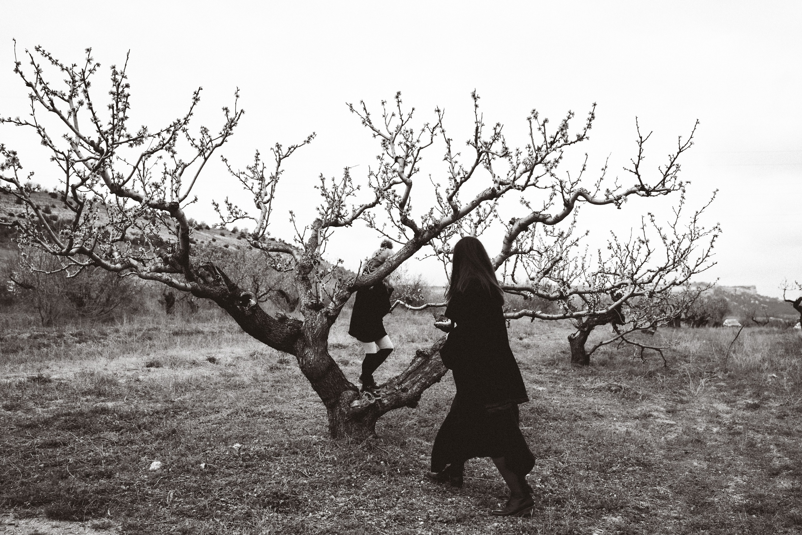 Персики. Фотограф