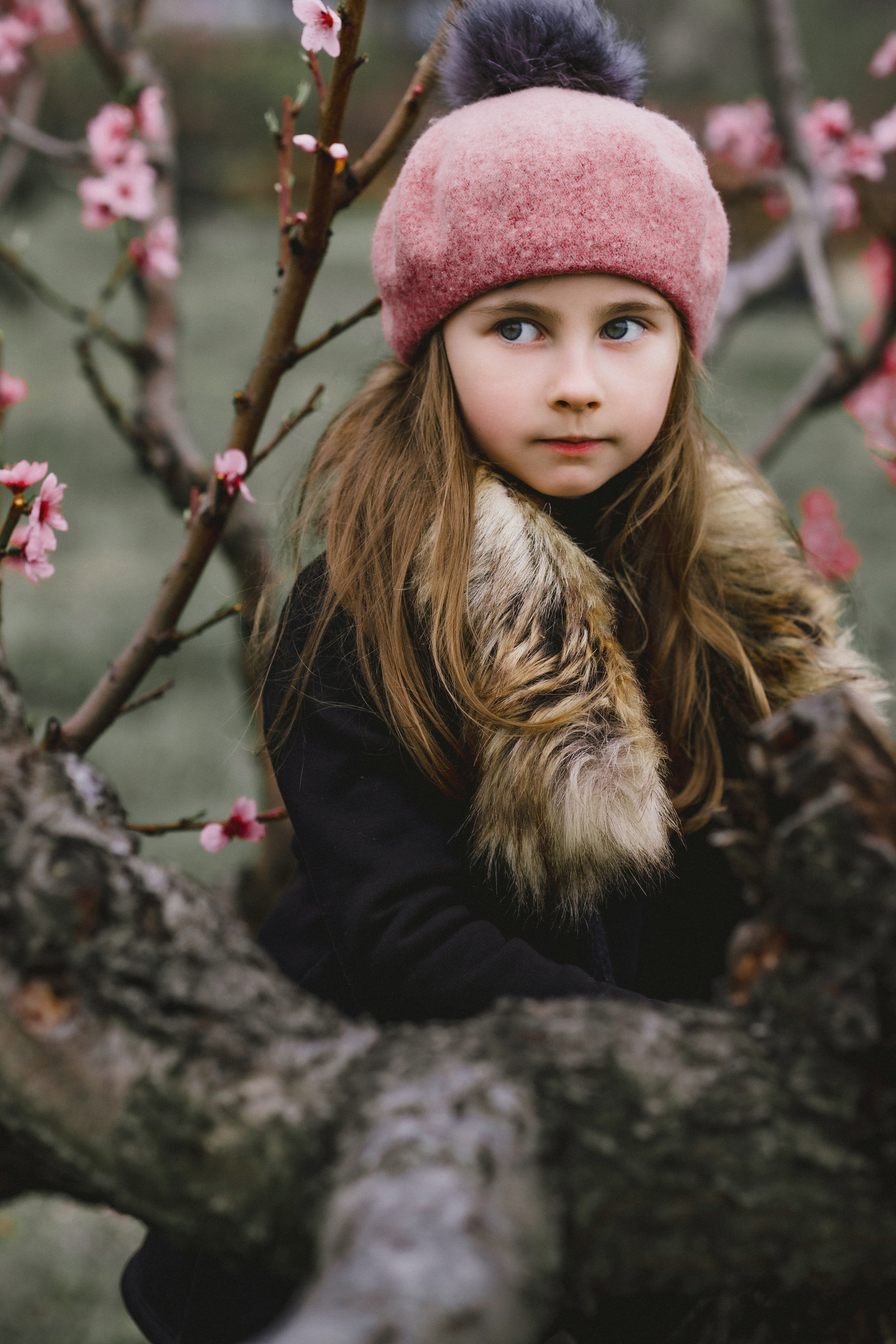 Персики. Фотограф
