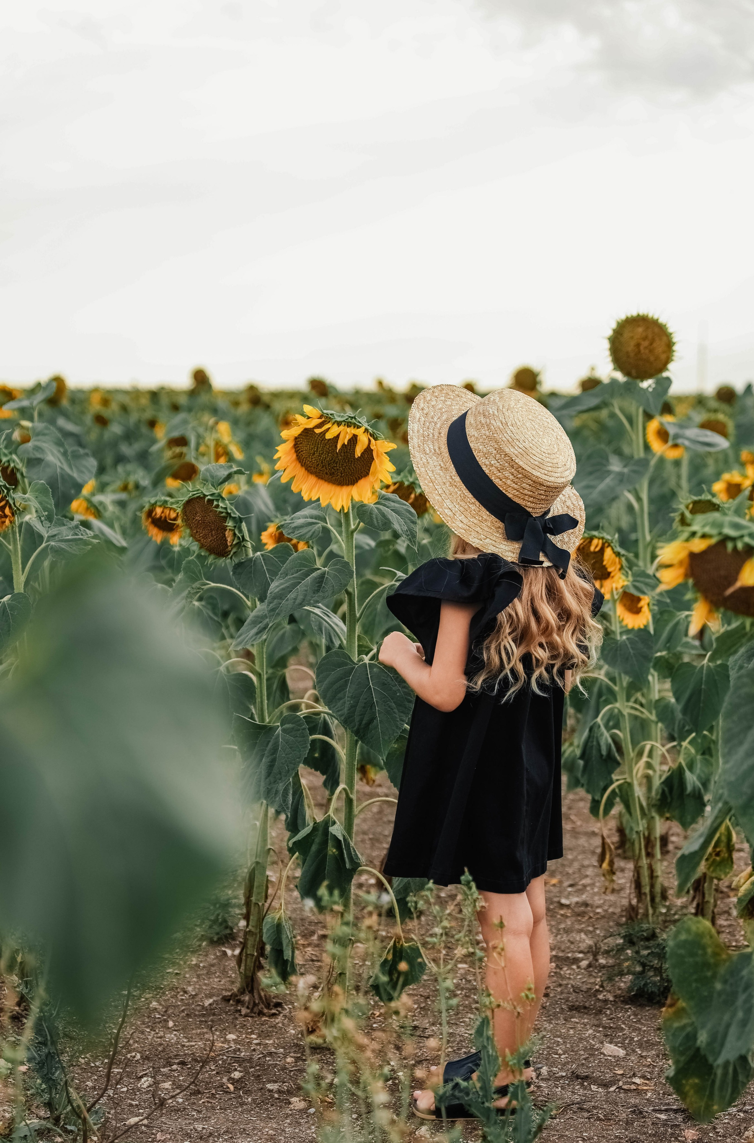 Фотограф шотландия. Фотограф