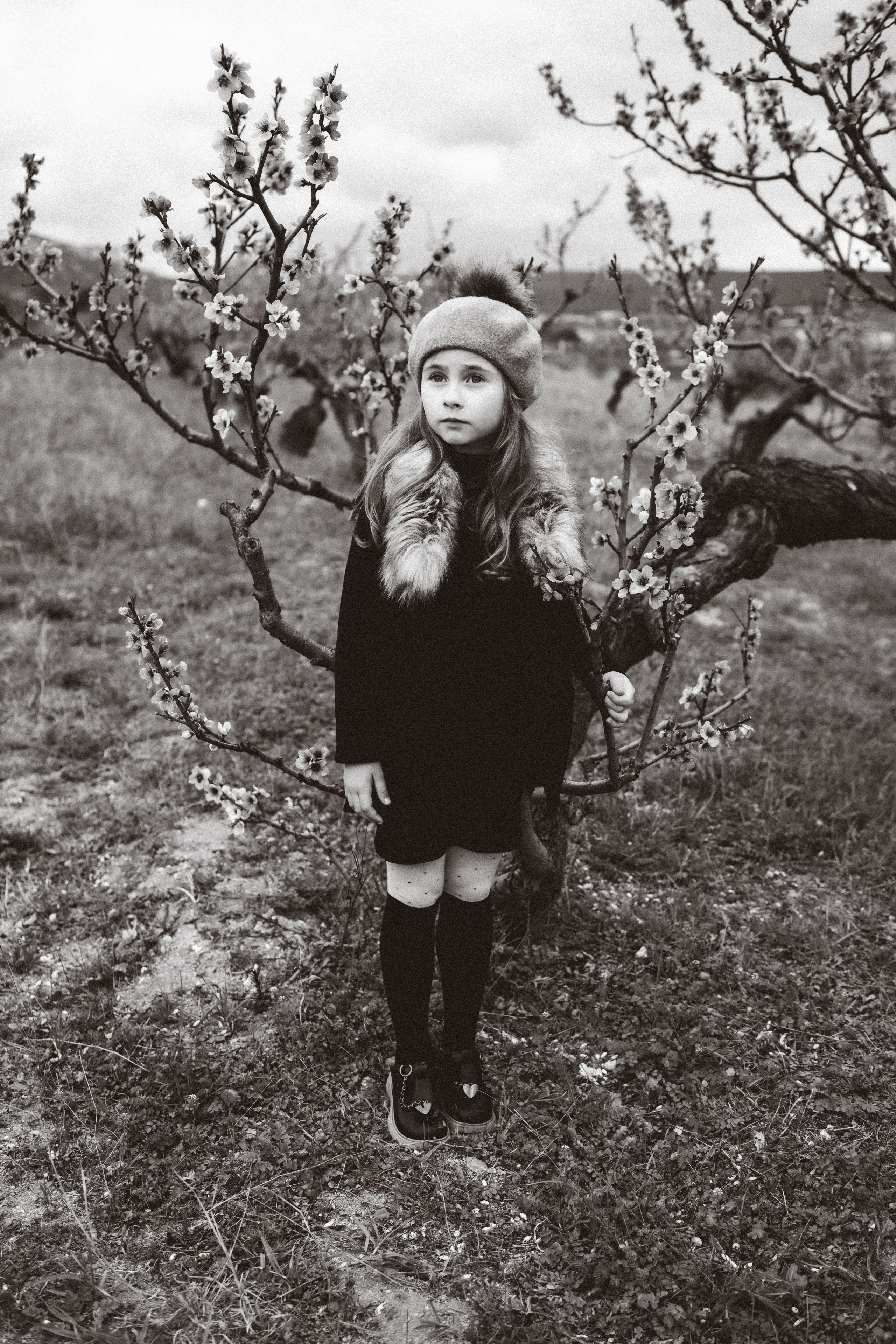 Персики. Фотограф