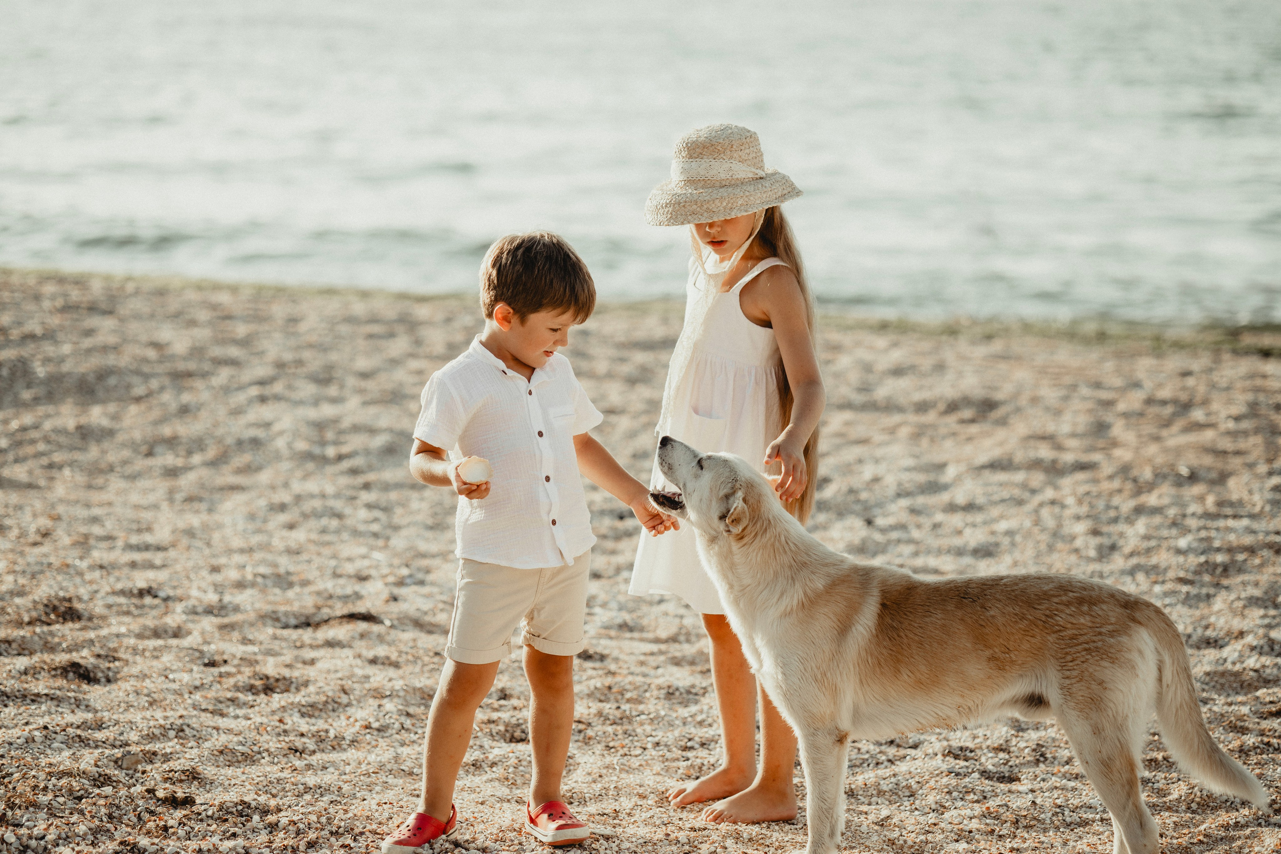 Вместе. Фотограф