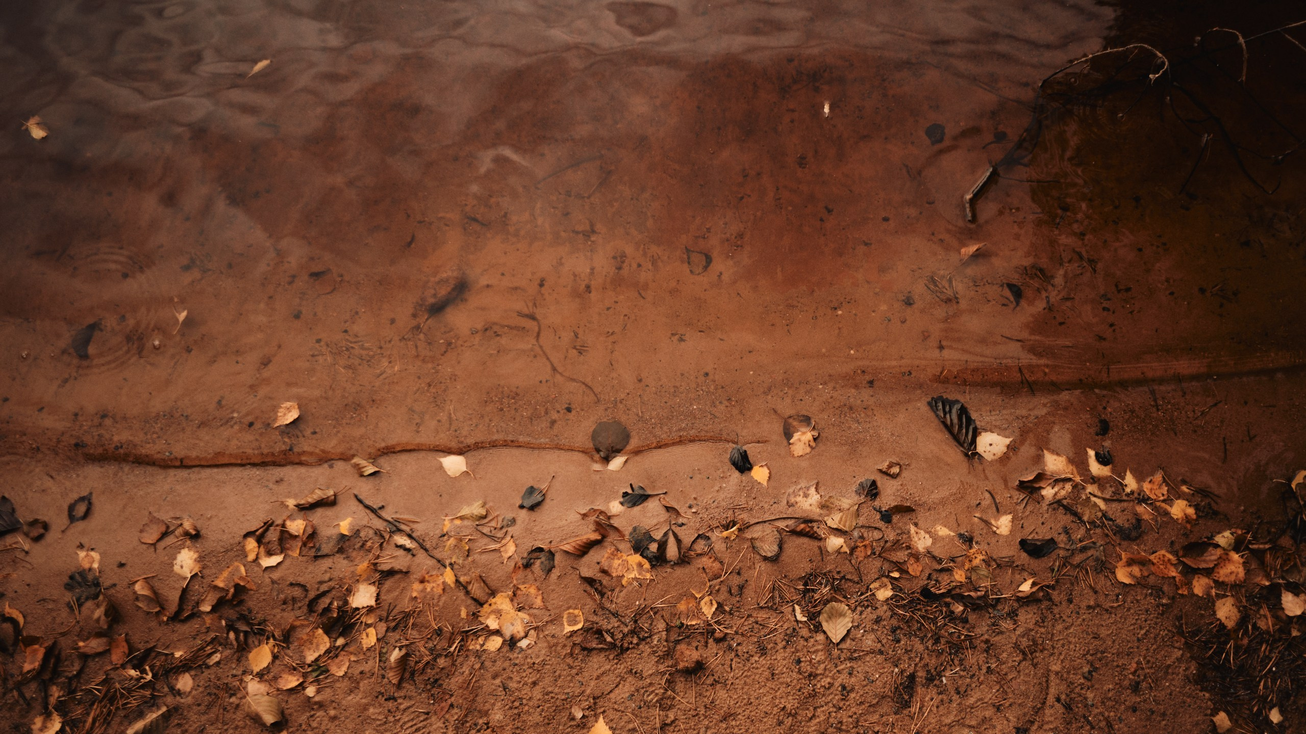Touching story. Свадебный Фотограф в Москве Чупраков Александр