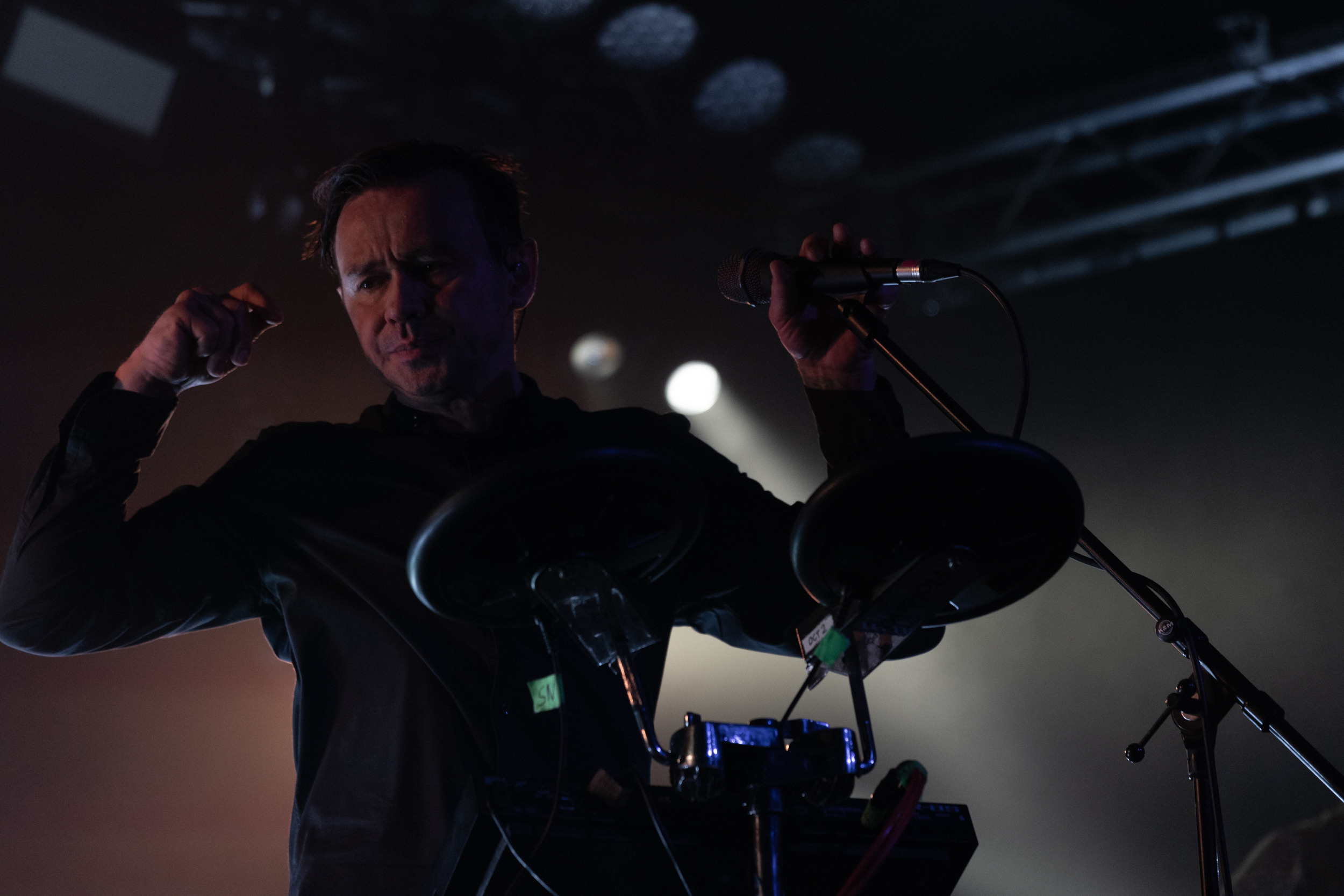 Dolphin. Astrakhov Pavel, photographer and artist