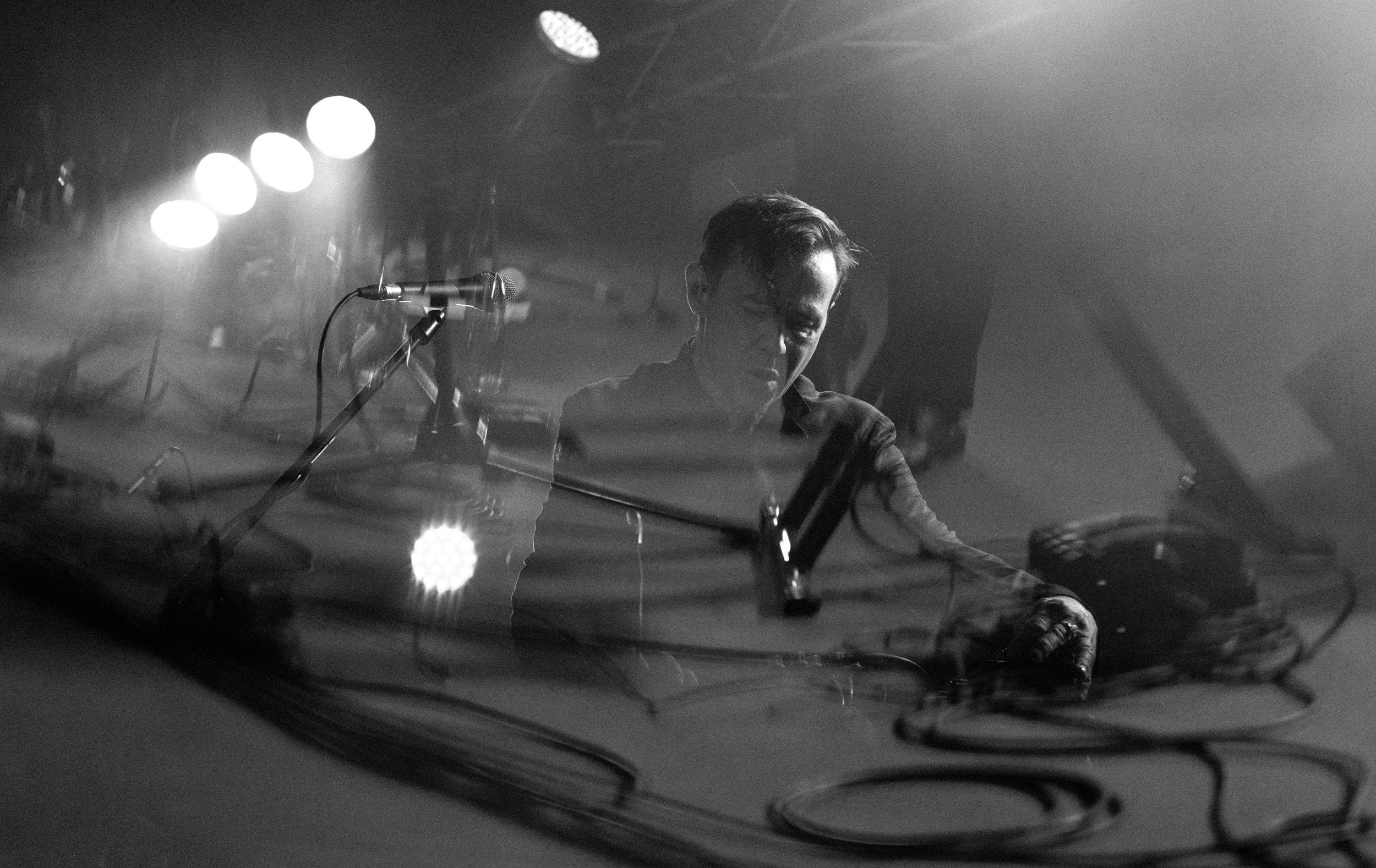 Dolphin. Astrakhov Pavel, photographer and artist