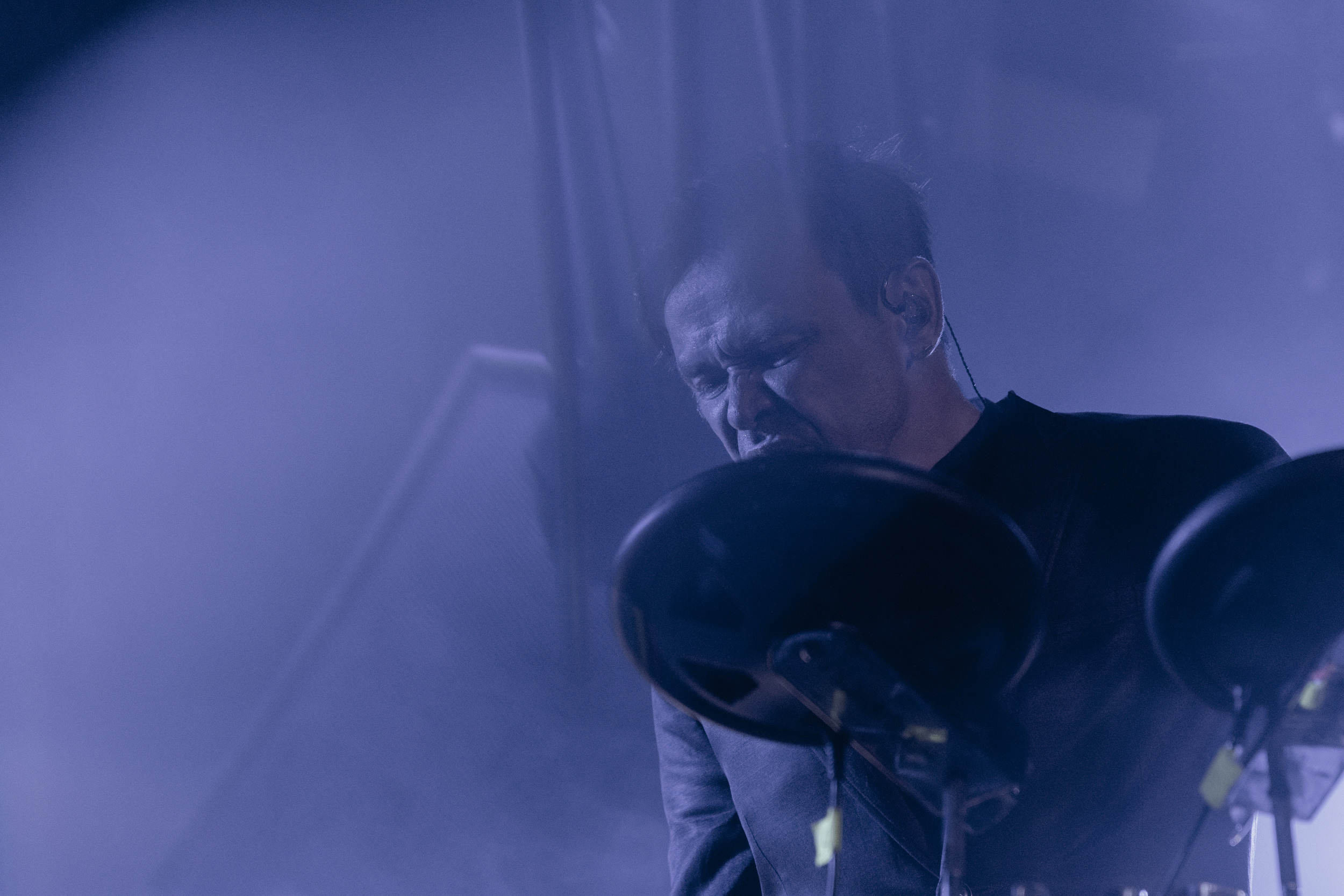 Dolphin. Astrakhov Pavel, photographer and artist