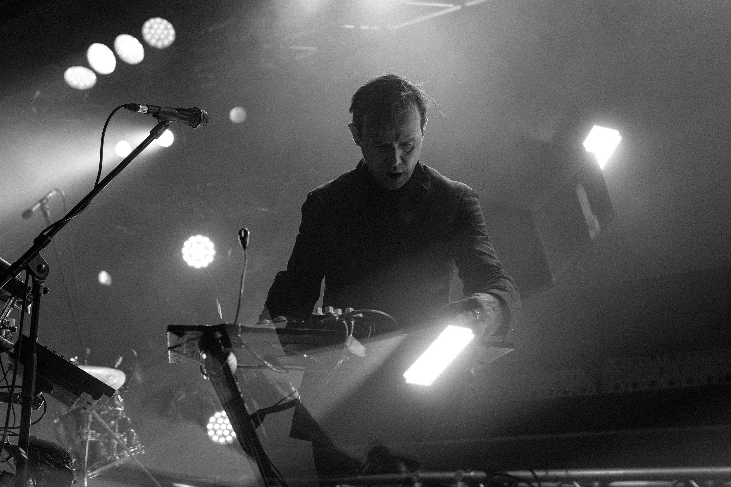 Dolphin. Astrakhov Pavel, photographer and artist