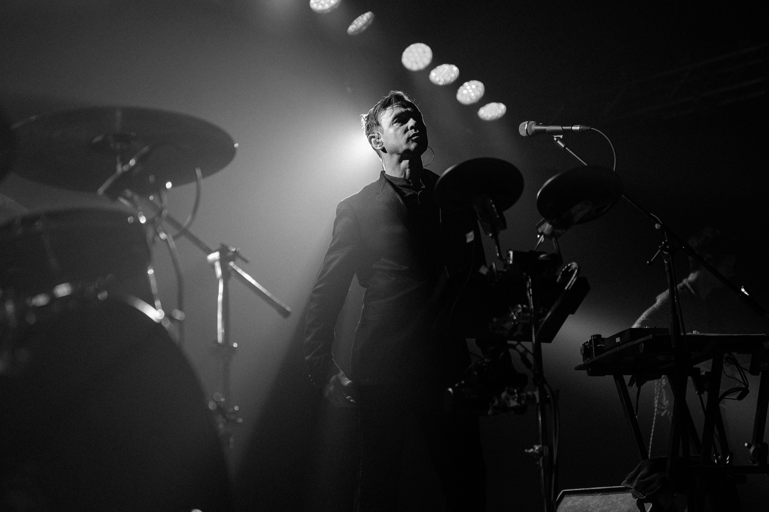 Dolphin. Astrakhov Pavel, photographer and artist