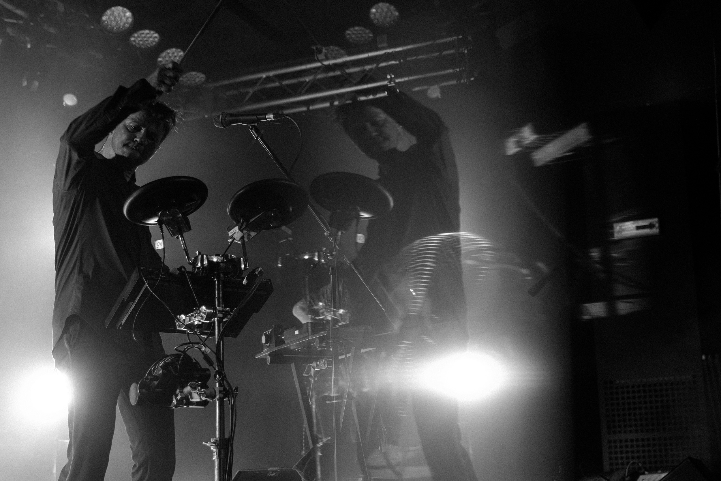 Dolphin. Astrakhov Pavel, photographer and artist