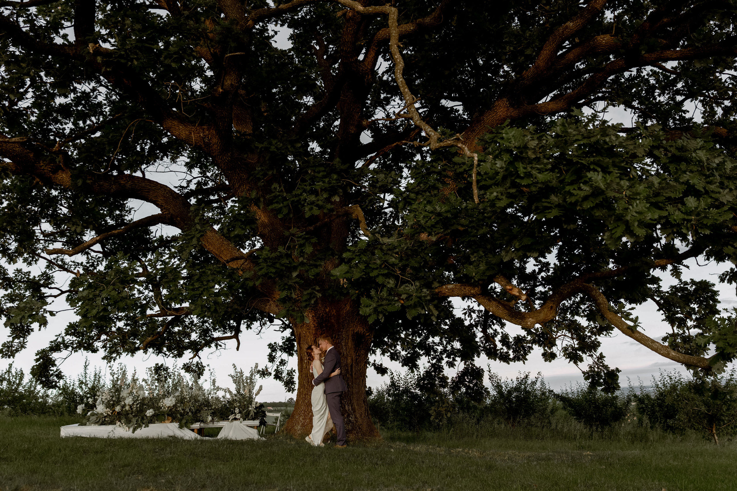 Wedding Vinarija Tarpos. Фотограф и художник Астрахов Павел