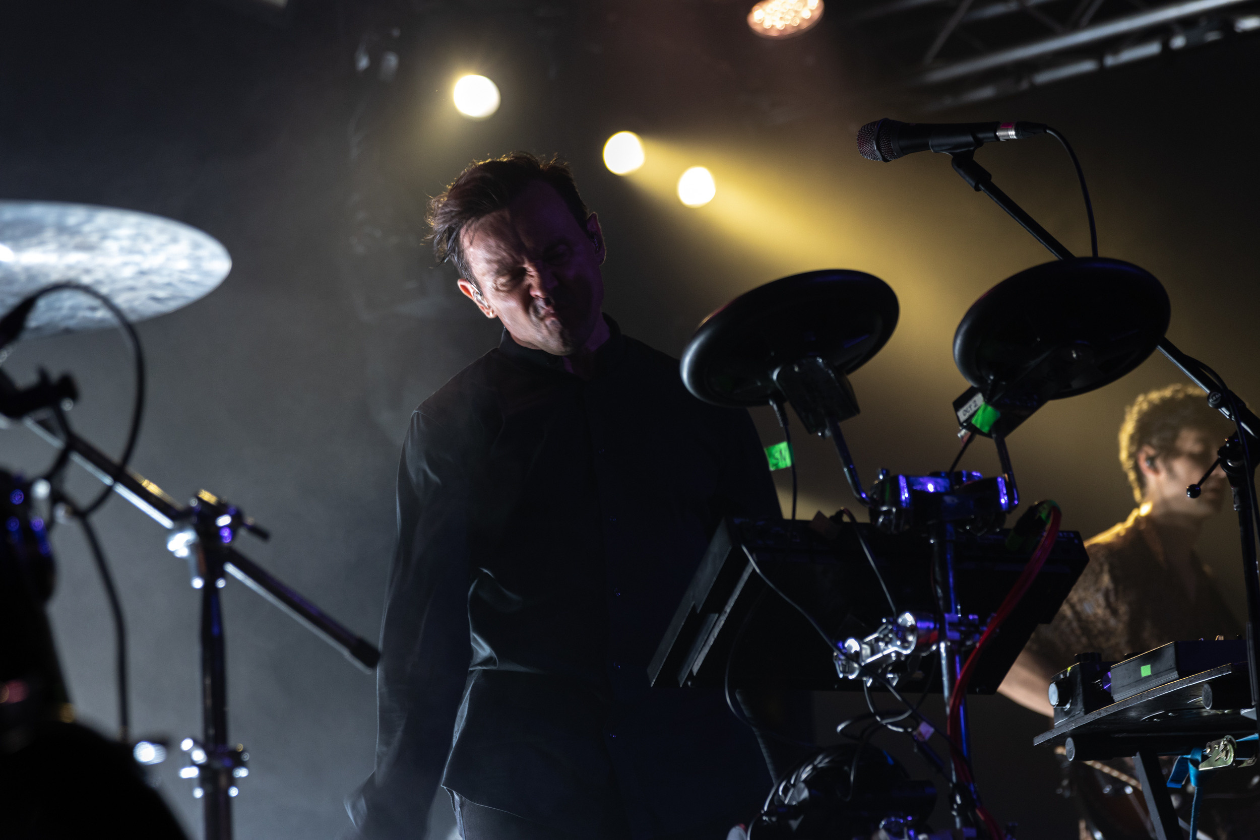 Dolphin. Astrakhov Pavel, photographer and artist