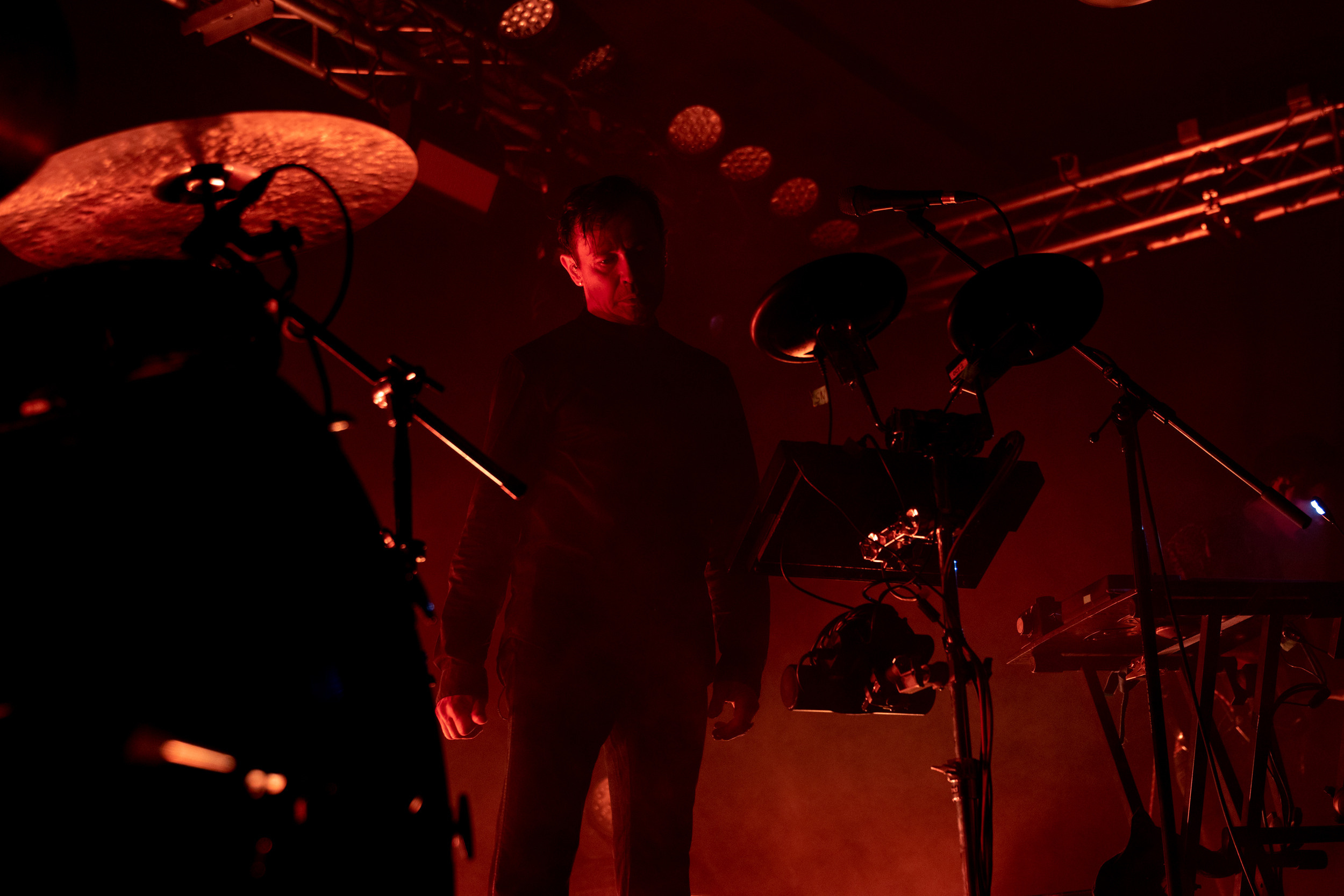 Dolphin. Astrakhov Pavel, photographer and artist