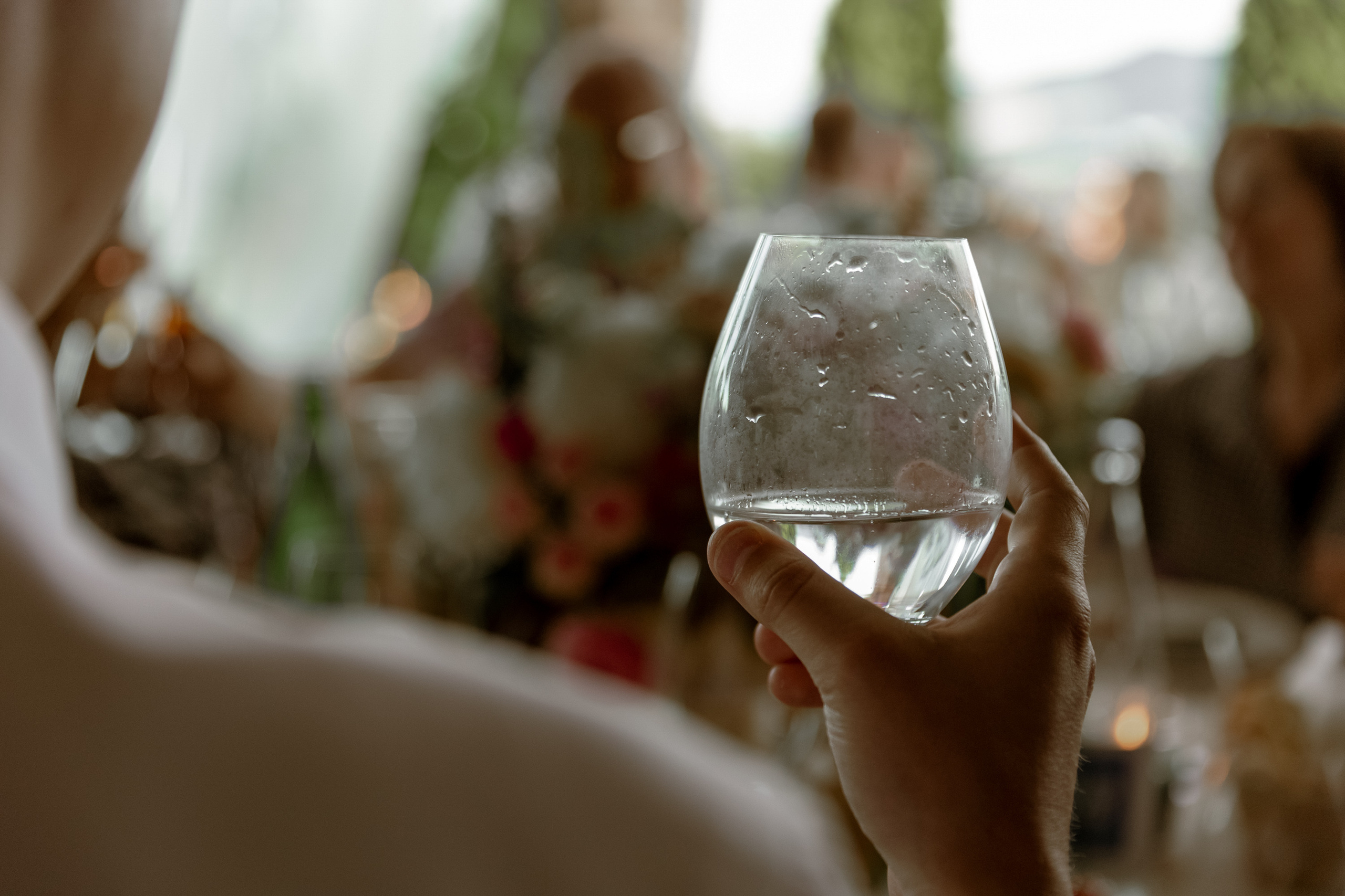 Wedding Vinarija Tarpos. Фотограф и художник Астрахов Павел