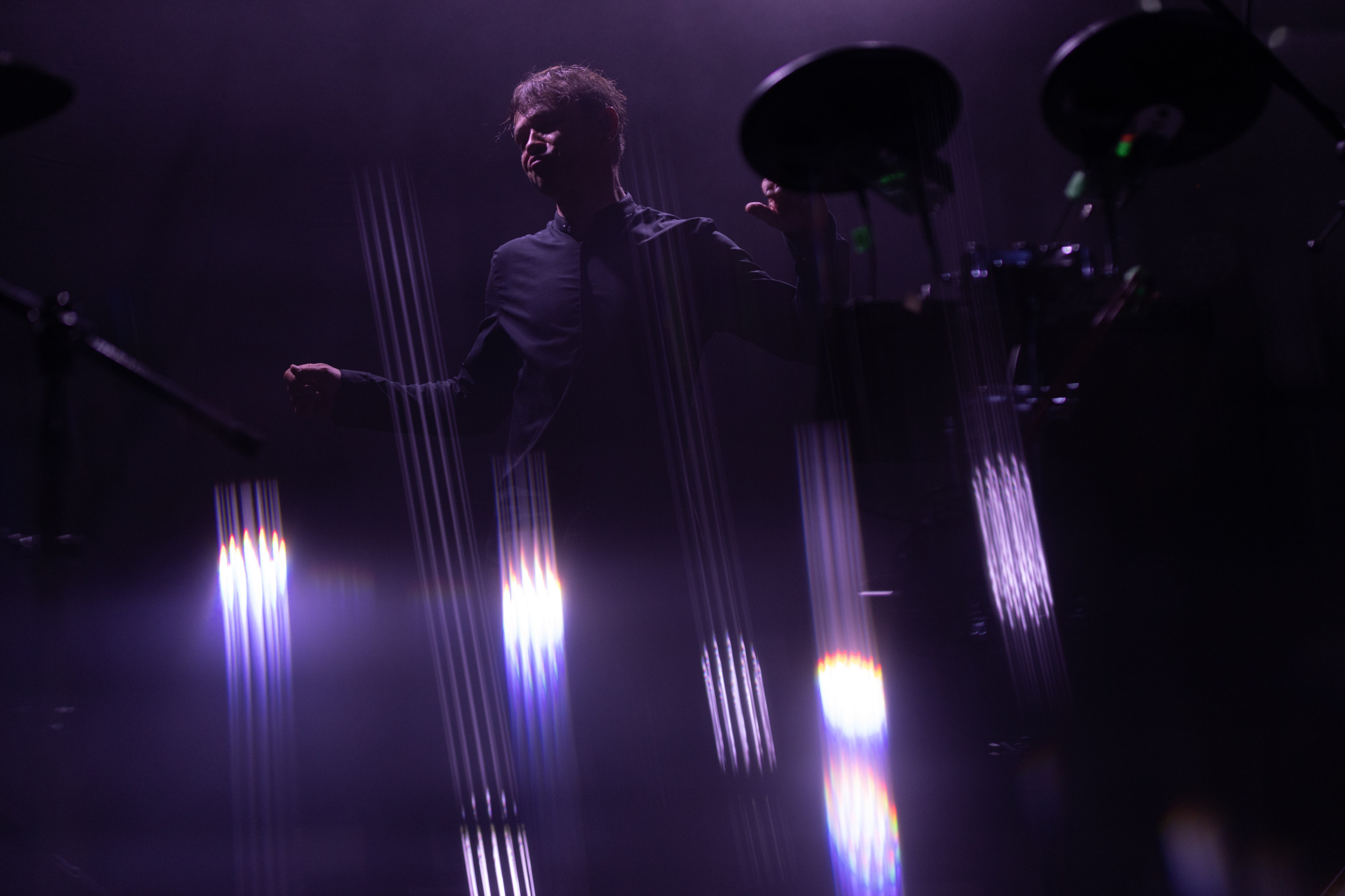 Dolphin. Astrakhov Pavel, photographer and artist