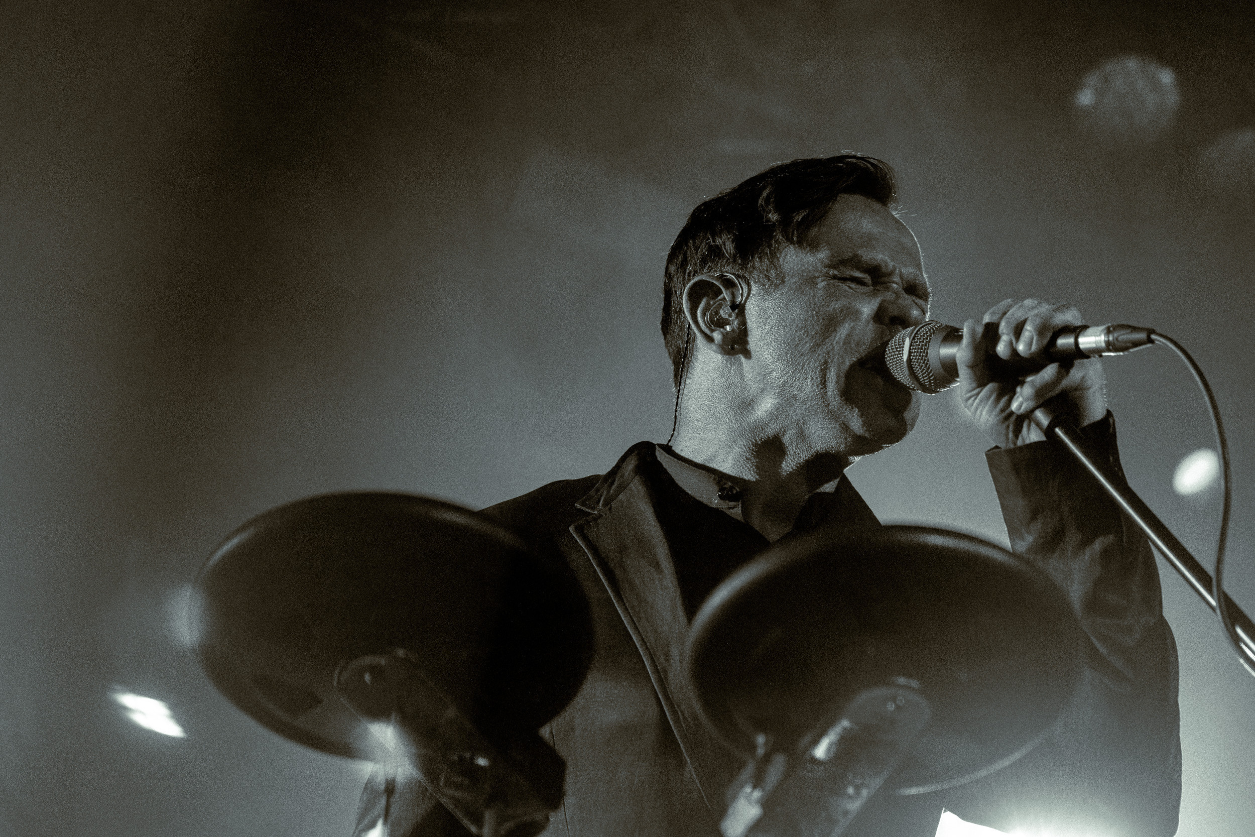 Dolphin. Astrakhov Pavel, photographer and artist