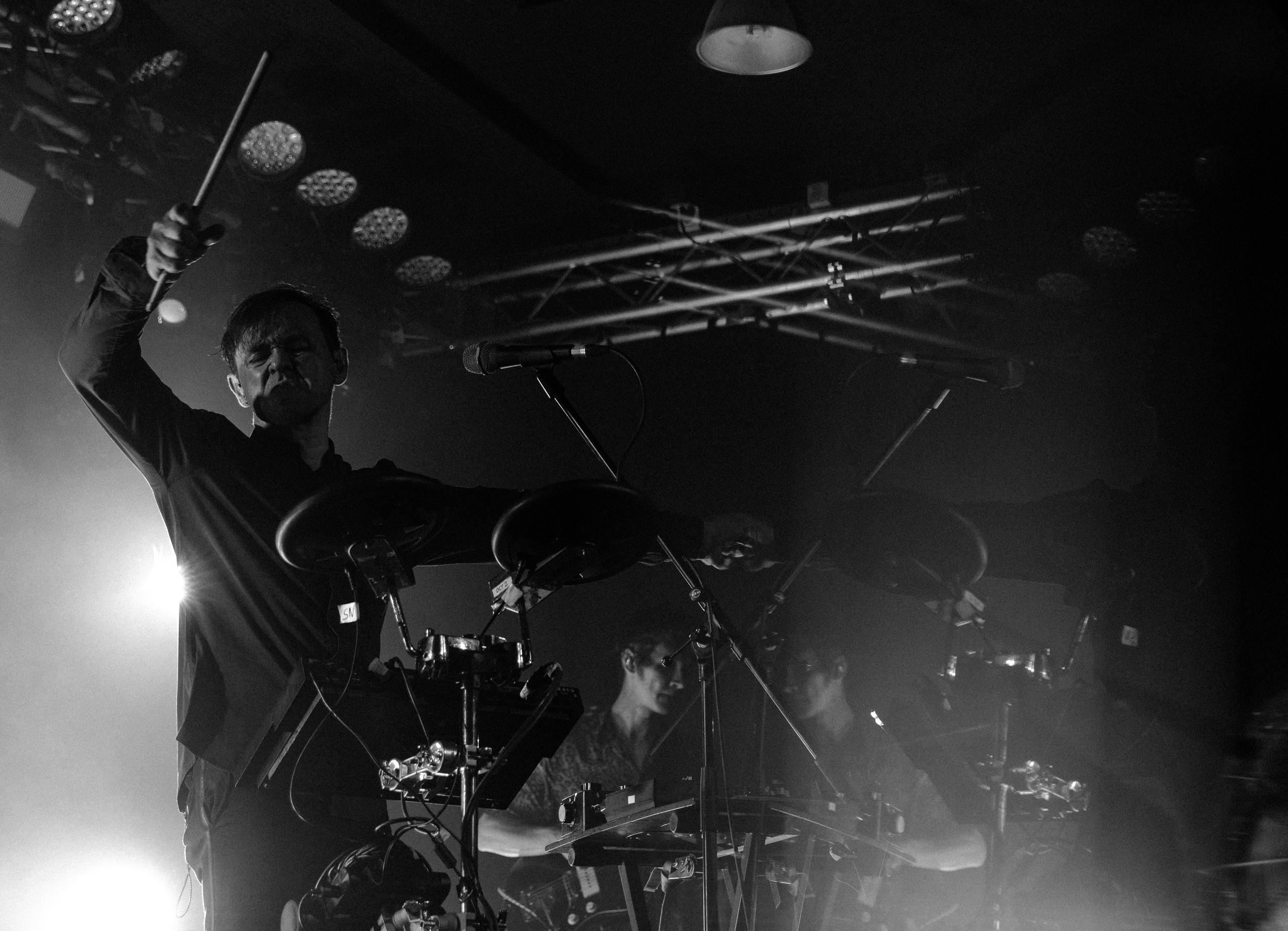 Dolphin. Astrakhov Pavel, photographer and artist