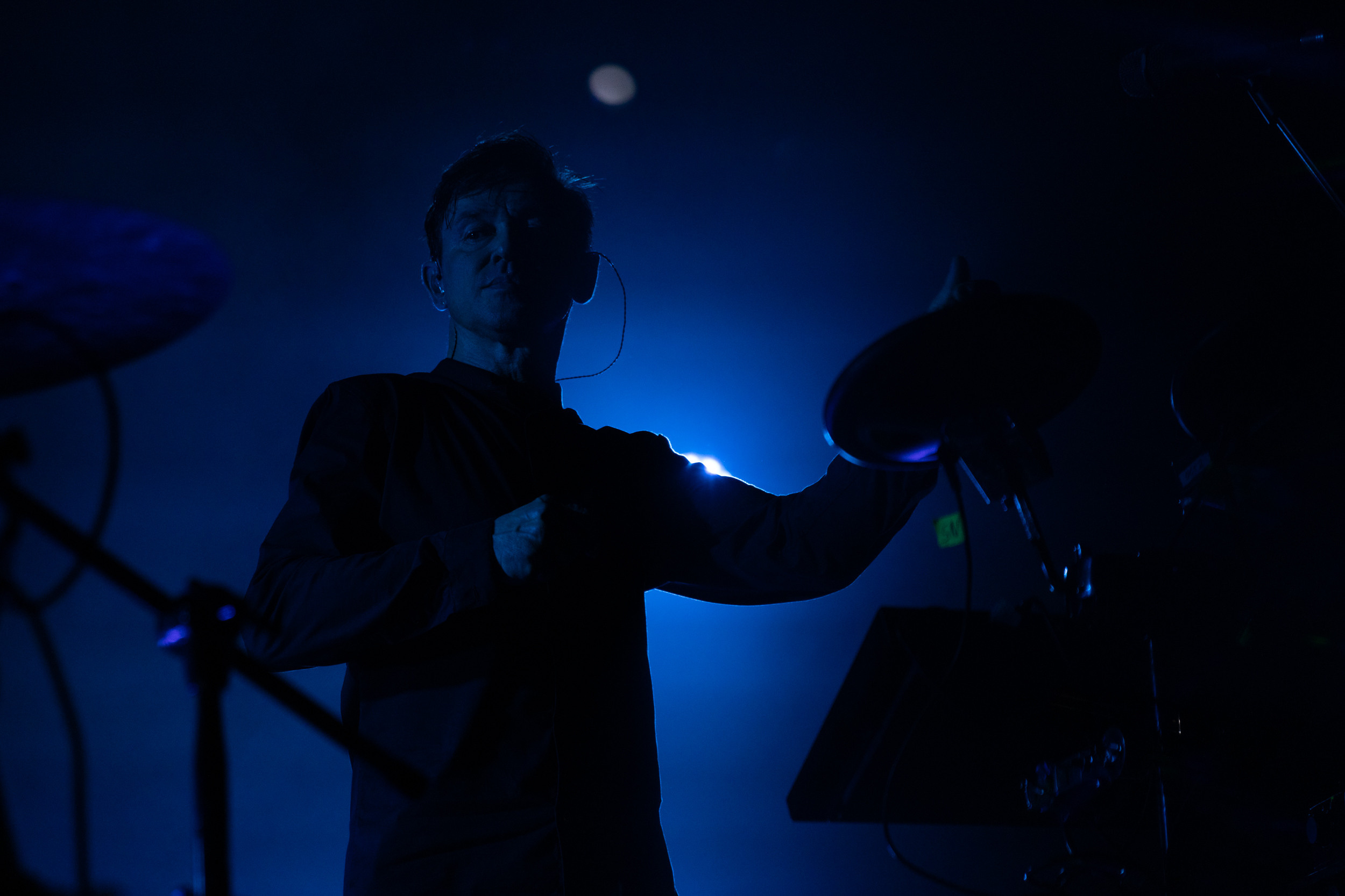 Dolphin. Astrakhov Pavel, photographer and artist