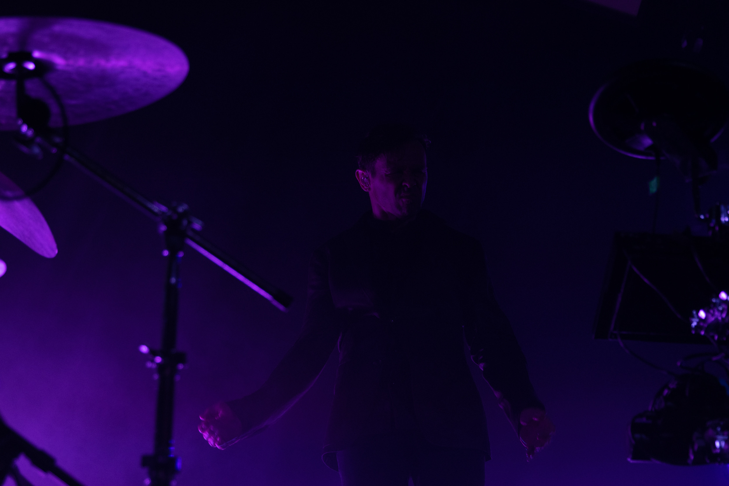 Dolphin. Astrakhov Pavel, photographer and artist