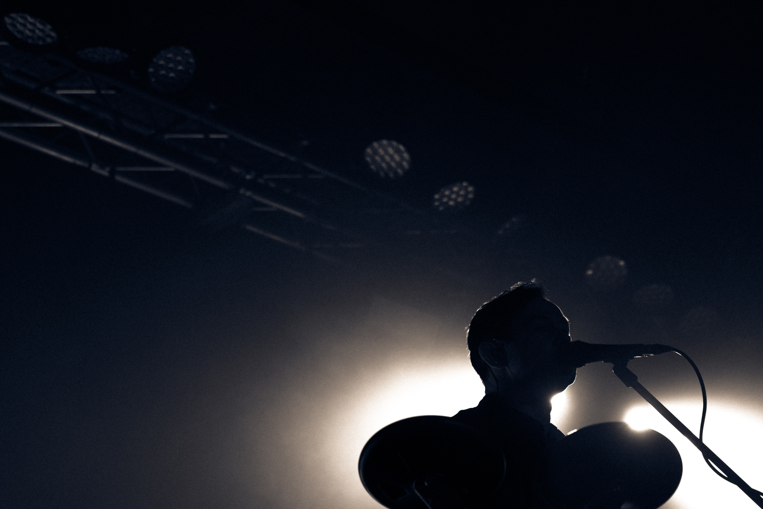 Dolphin. Astrakhov Pavel, photographer and artist