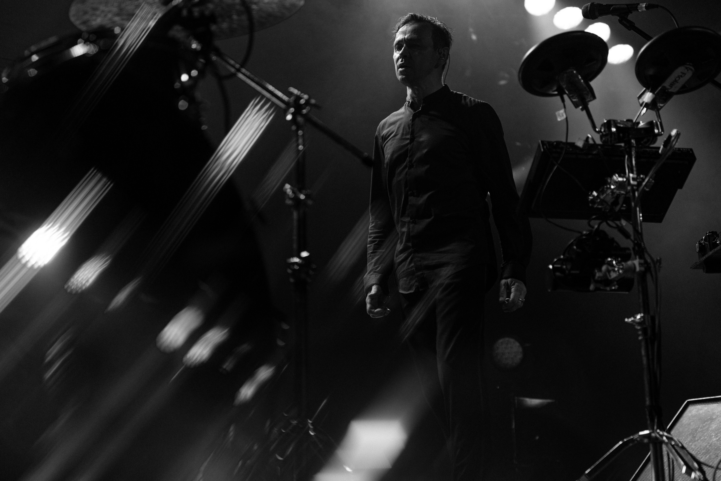 Dolphin. Astrakhov Pavel, photographer and artist