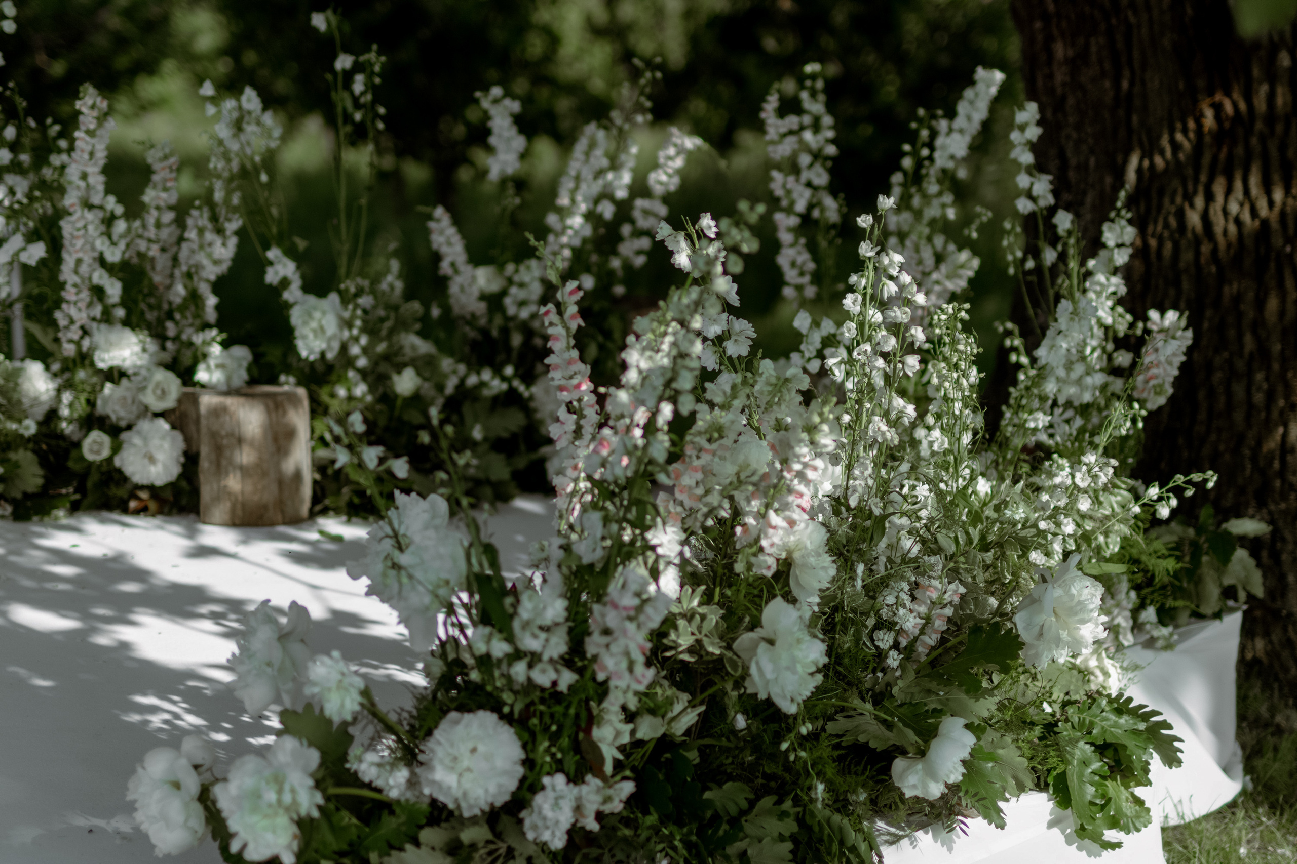 Wedding Vinarija Tarpos. Фотограф и художник Астрахов Павел