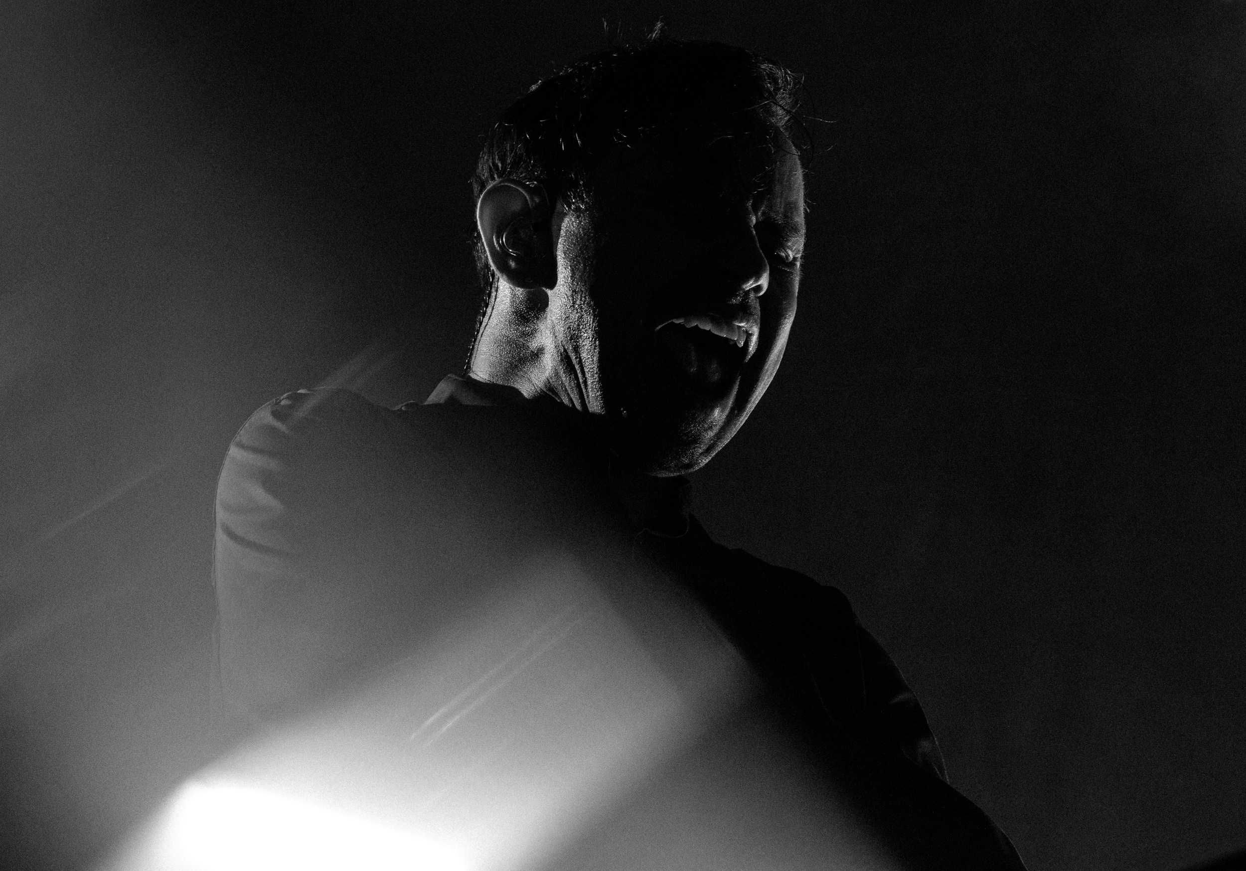 Dolphin. Astrakhov Pavel, photographer and artist