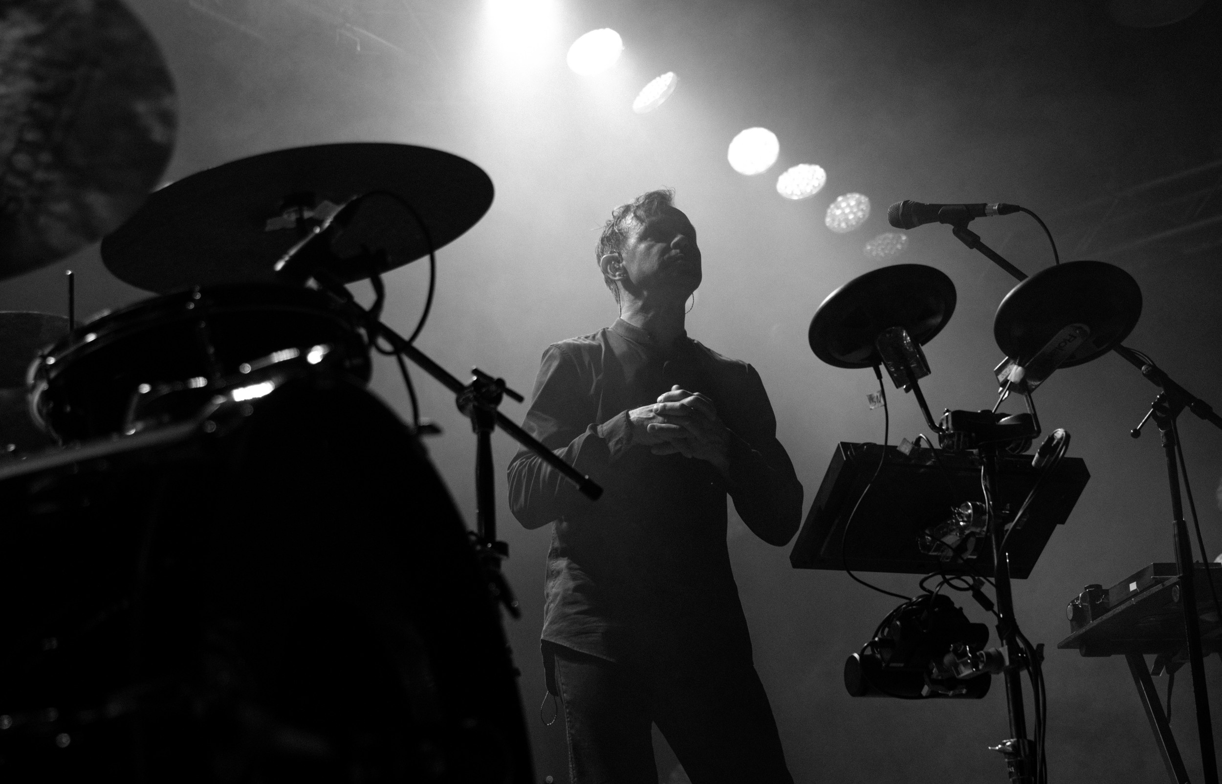 Dolphin. Astrakhov Pavel, photographer and artist