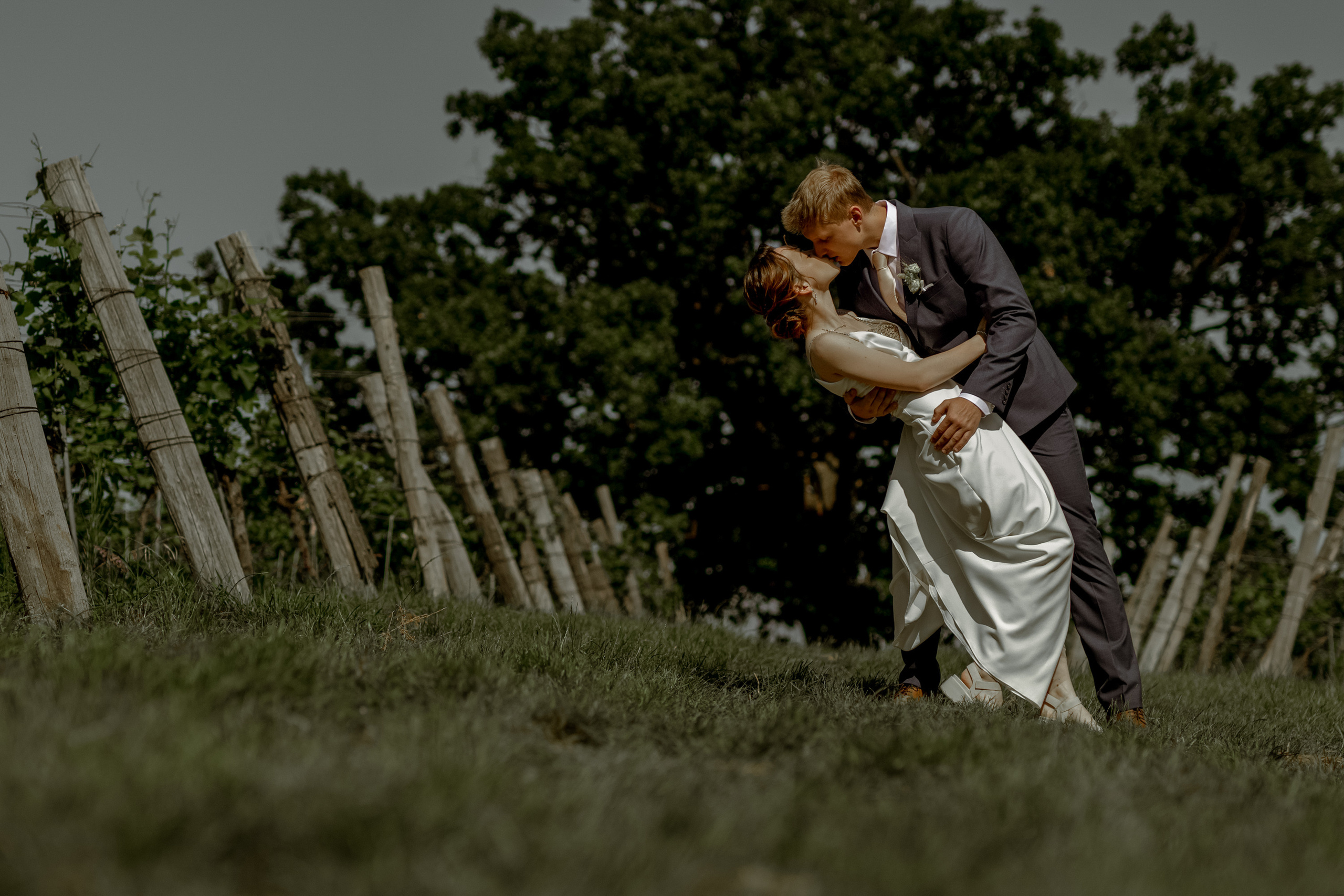 Wedding Vinarija Tarpos. Фотограф и художник Астрахов Павел