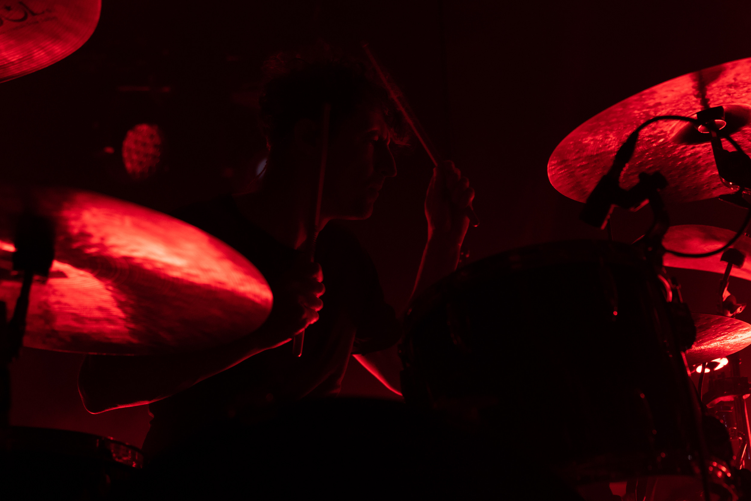 Dolphin. Astrakhov Pavel, photographer and artist