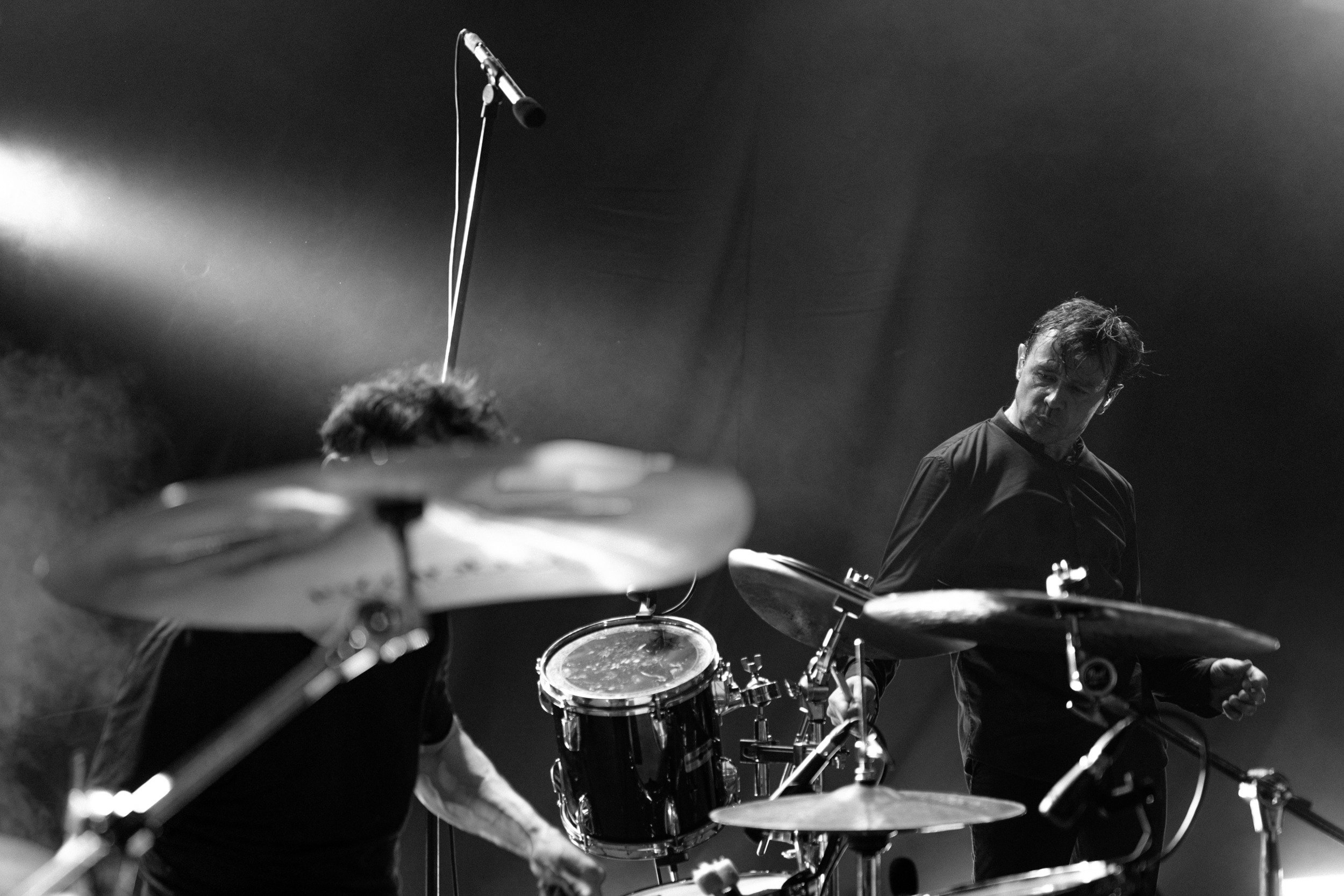 Dolphin. Astrakhov Pavel, photographer and artist