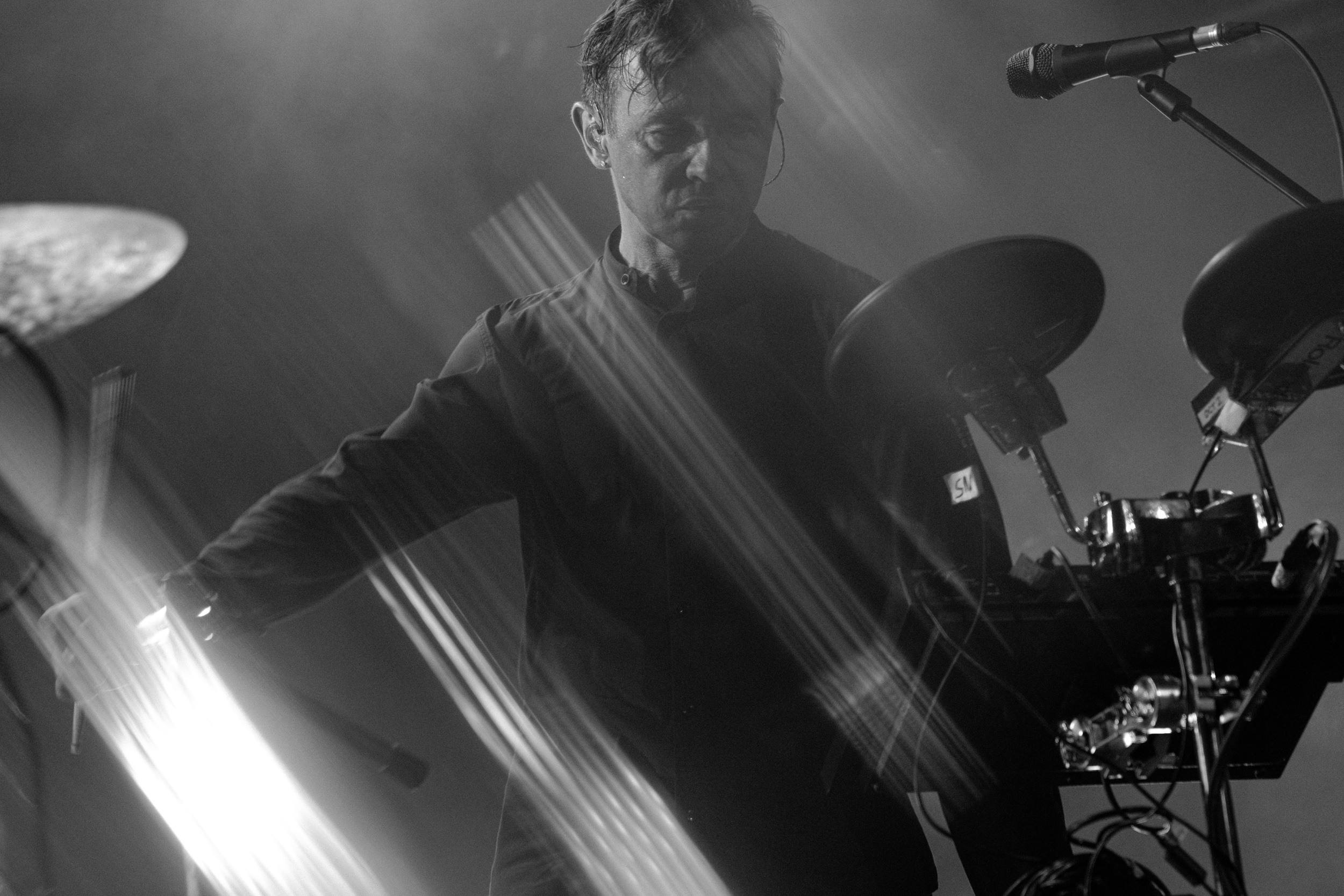 Dolphin. Astrakhov Pavel, photographer and artist