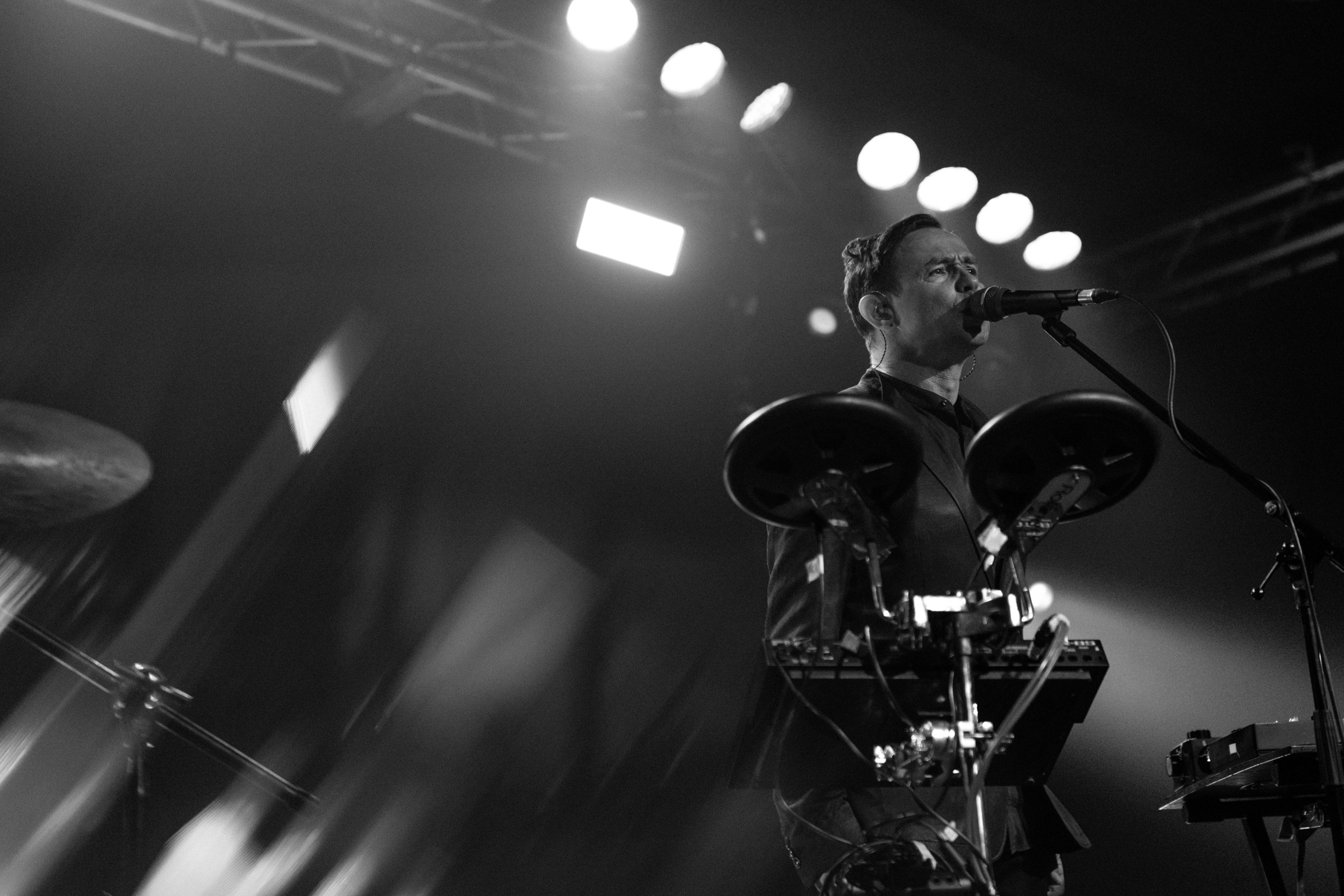 Dolphin. Astrakhov Pavel, photographer and artist