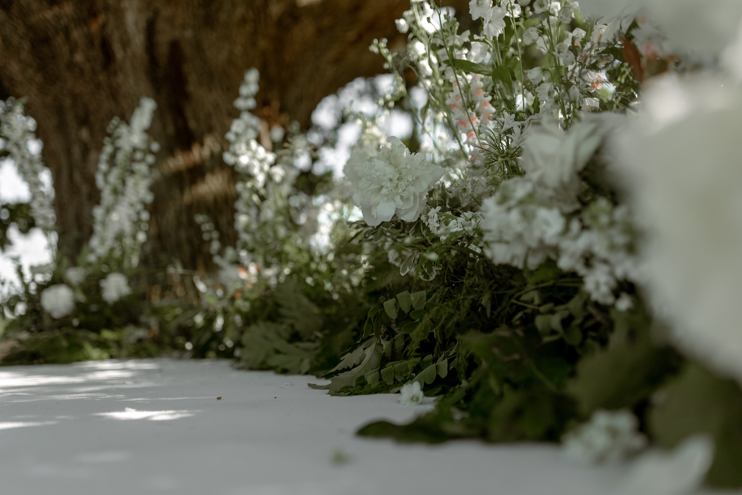 Wedding Vinarija Tarpos. Фотограф и художник Астрахов Павел