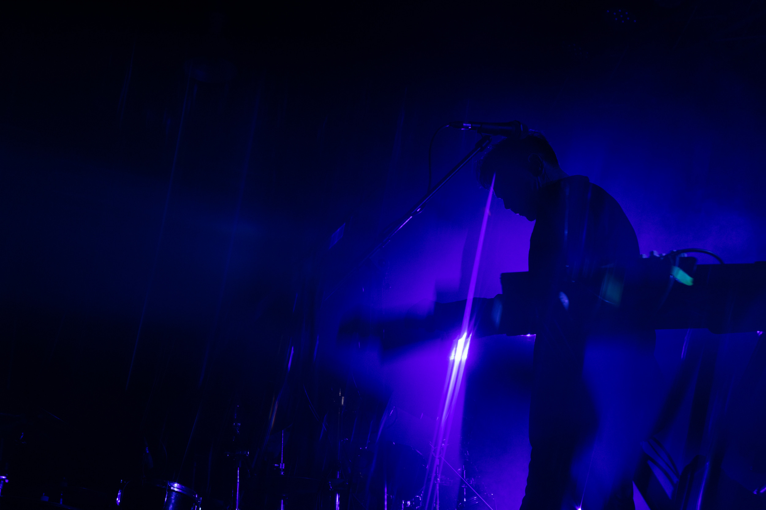 Dolphin. Astrakhov Pavel, photographer and artist