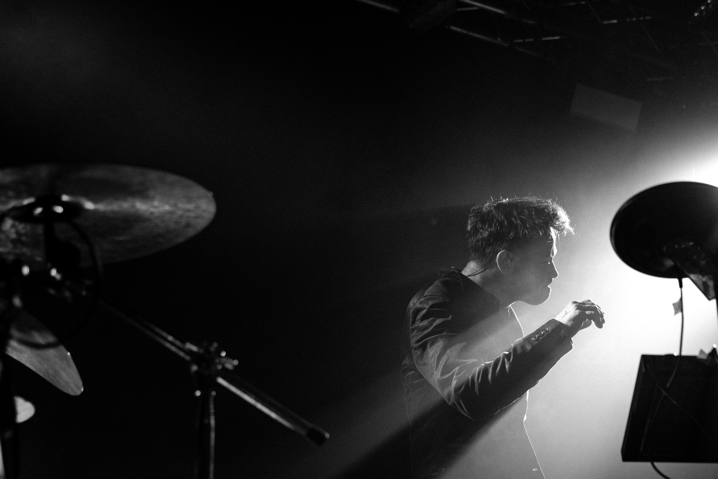 Dolphin. Astrakhov Pavel, photographer and artist