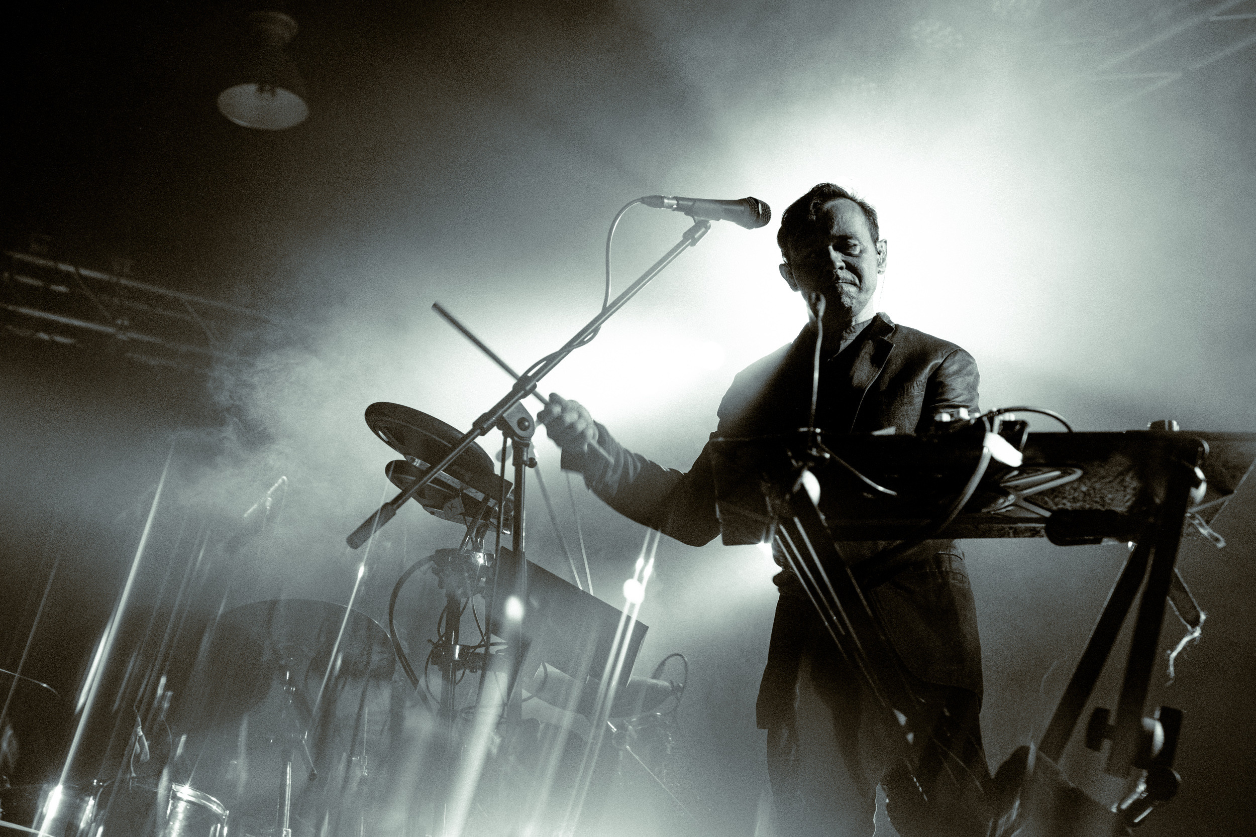 Dolphin. Astrakhov Pavel, photographer and artist