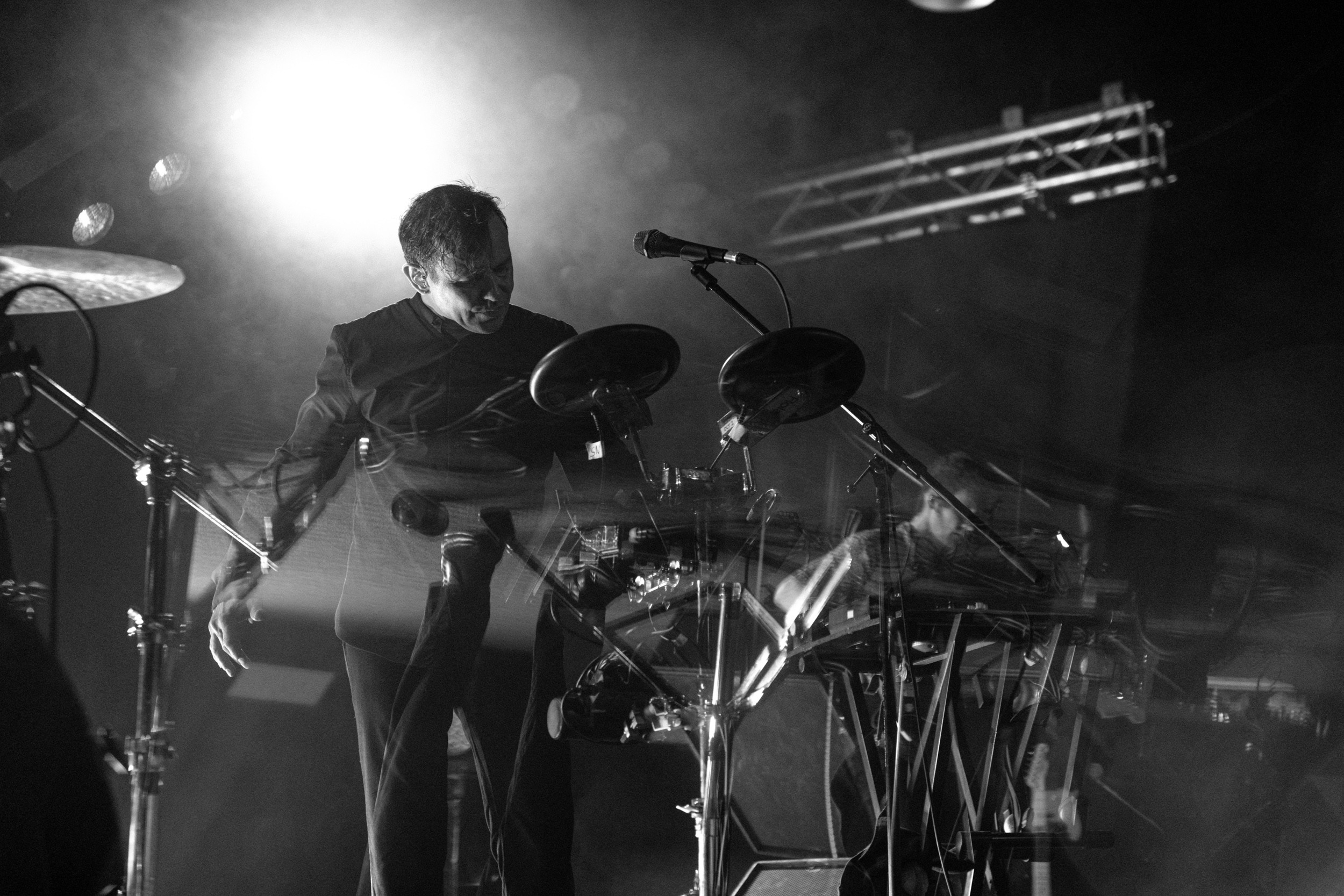 Dolphin. Astrakhov Pavel, photographer and artist